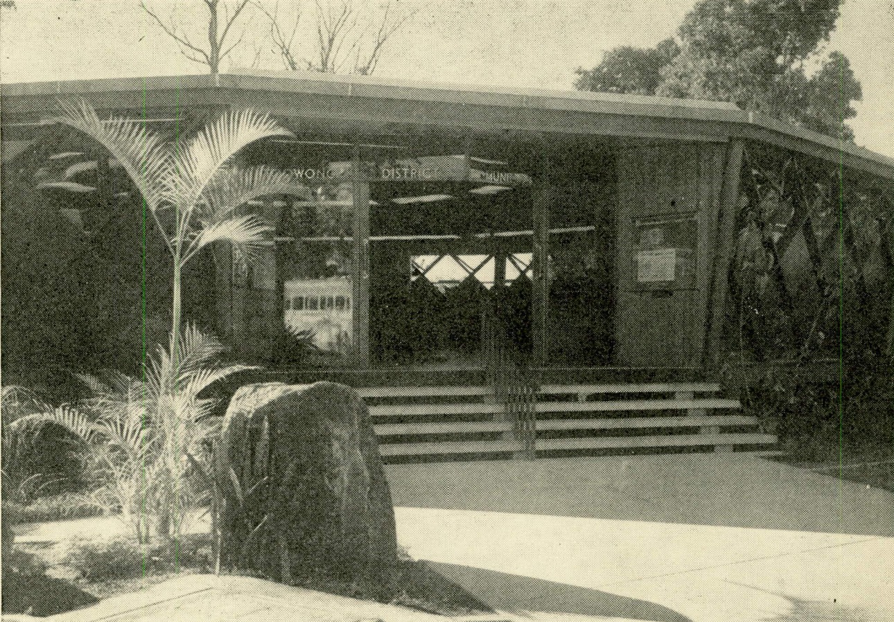 Old Brisbane Album | Toowong Library, 1960 | Facebook