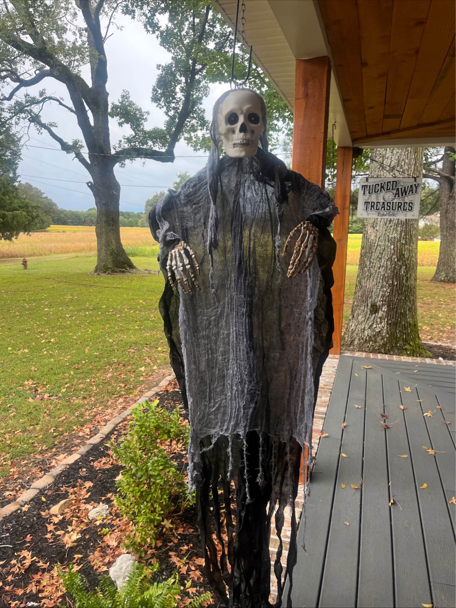 Grim Reaper – Lampada LED Verde Per Alimentazione Fauna Selvatica Con Telecomando - Foto 4