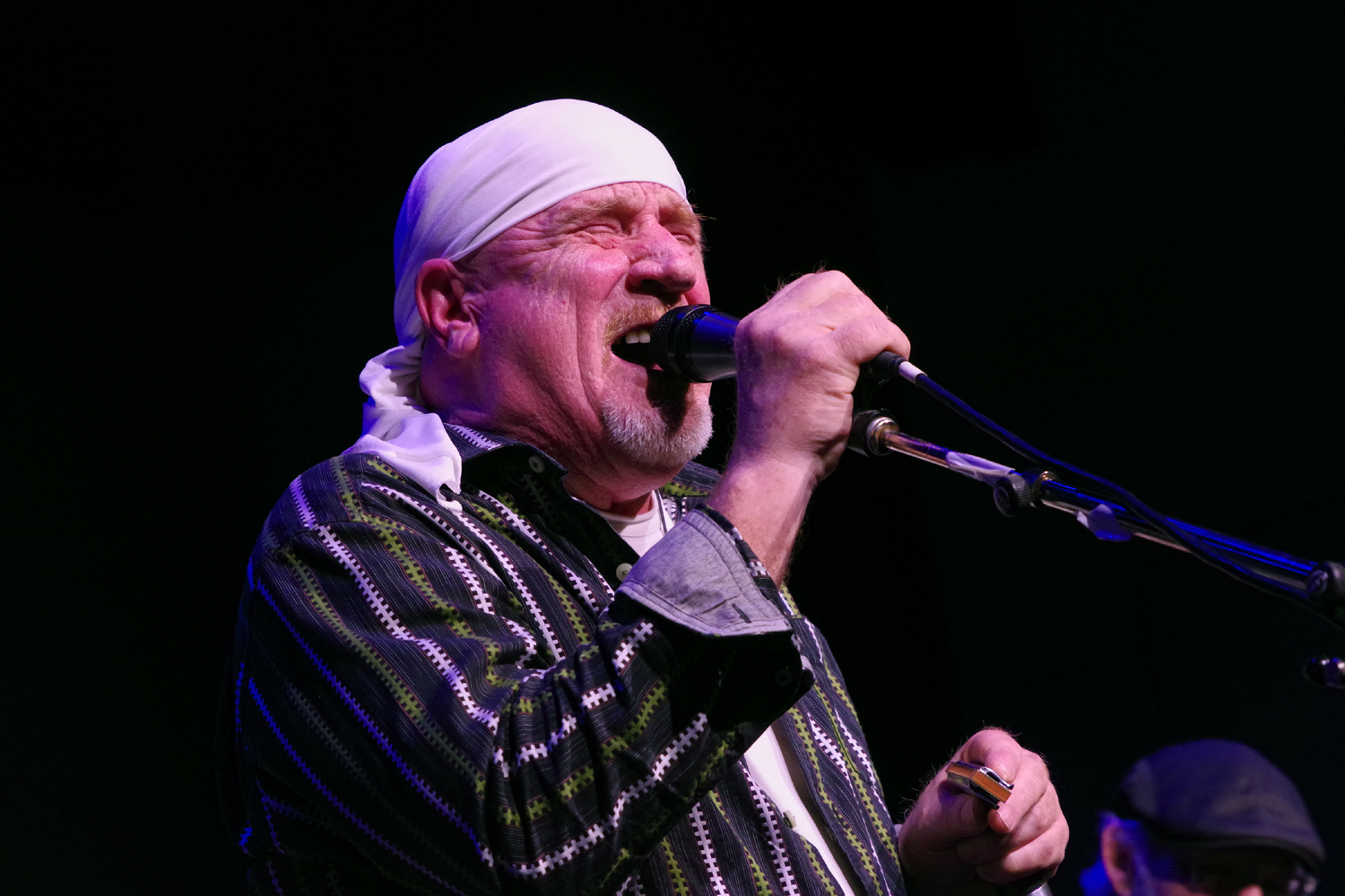 Edmonton Blues Society | Rusty Reed and his band performing at the ...