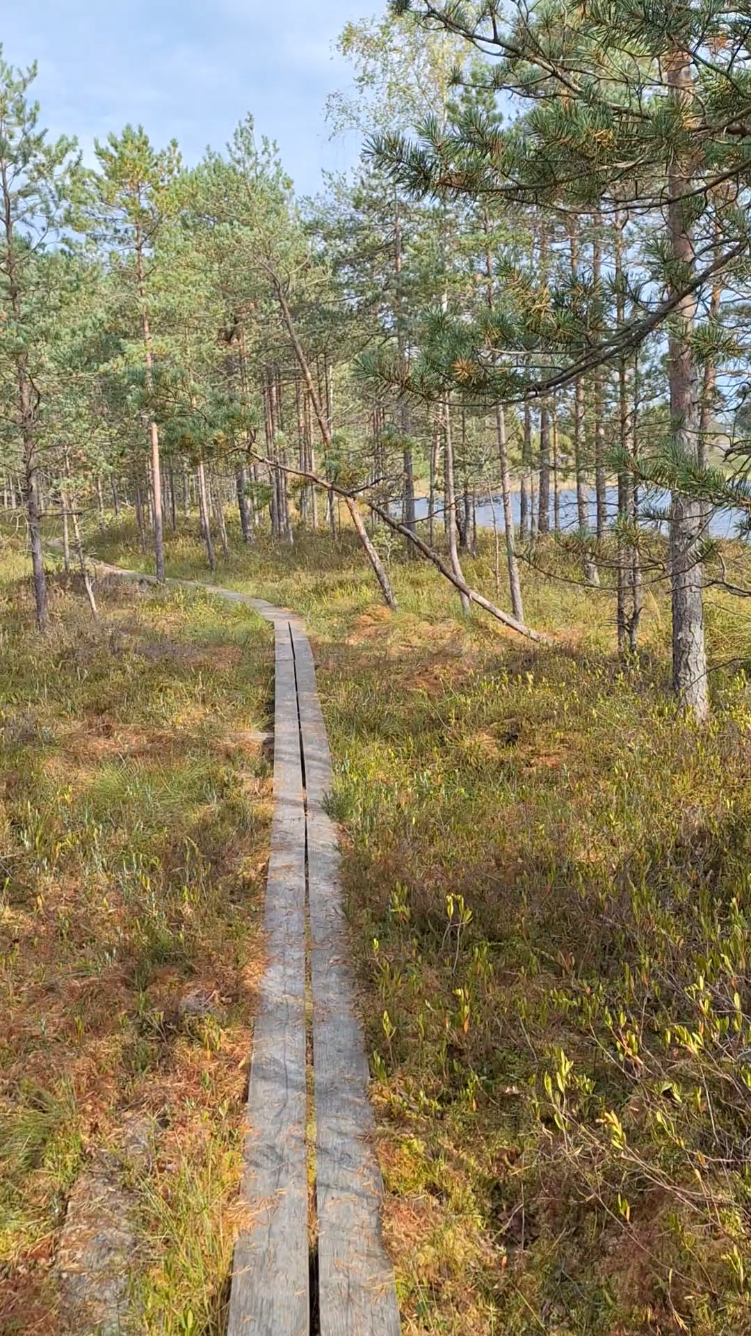 Agnes Räisa - Agnes Räisa added a new photo.