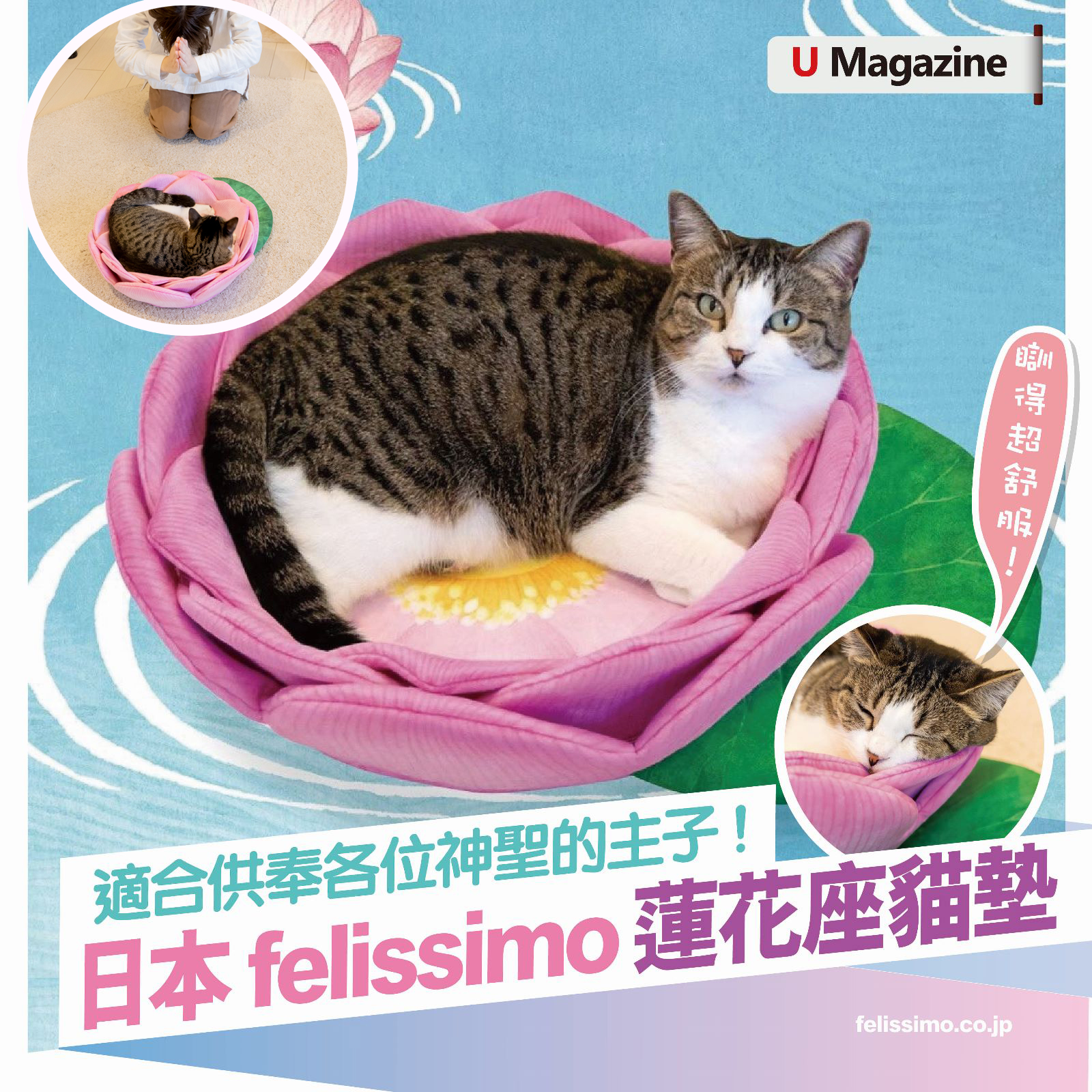 U Magazine - 終於搵到最適合高貴主子們嘅寶座！😆 日本家具雜貨品牌 felissimo 近日推出呢款蓮花貓咪座墊，官網就話，蓮花喺 ...
