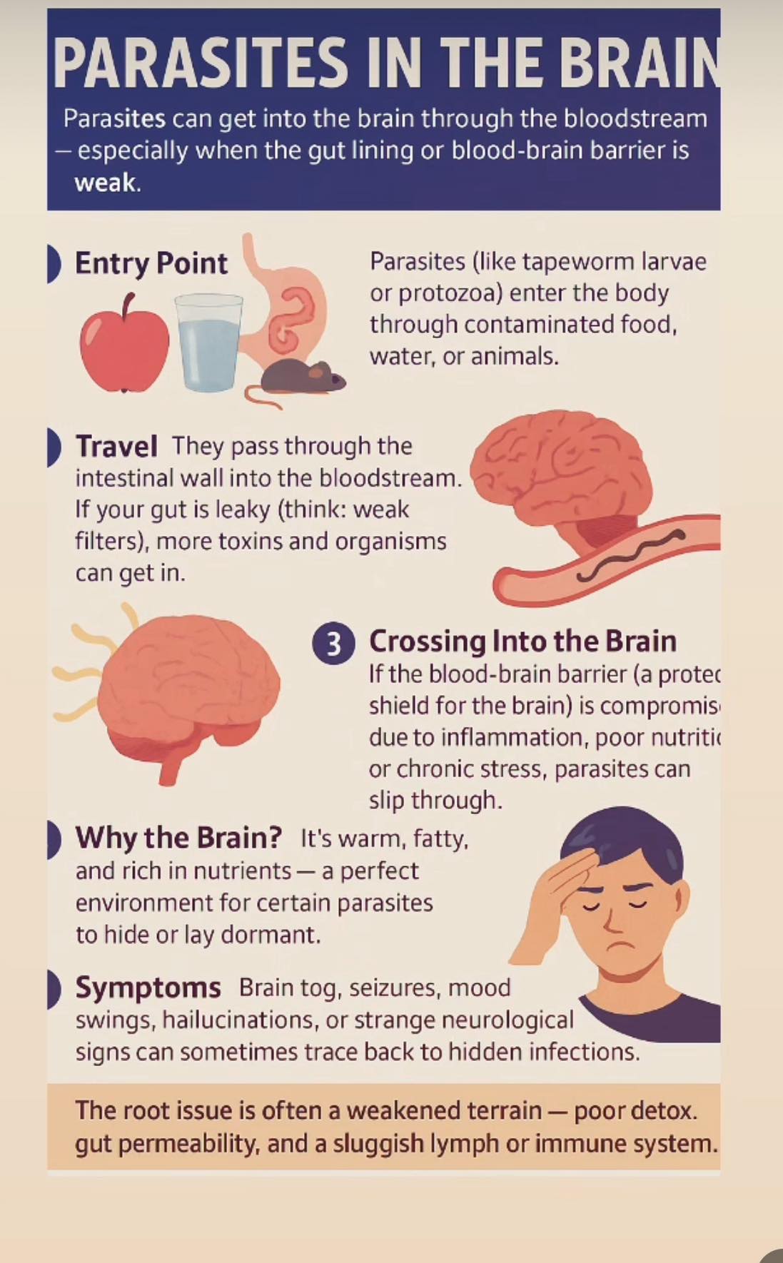 Victoria - 🧠 Signs You May Have Parasites in Your Brain: Yes it’s more ...