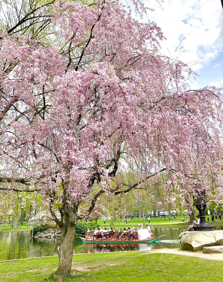 Happy First Day of Spring! 🌺 Soon, we will have (consistently