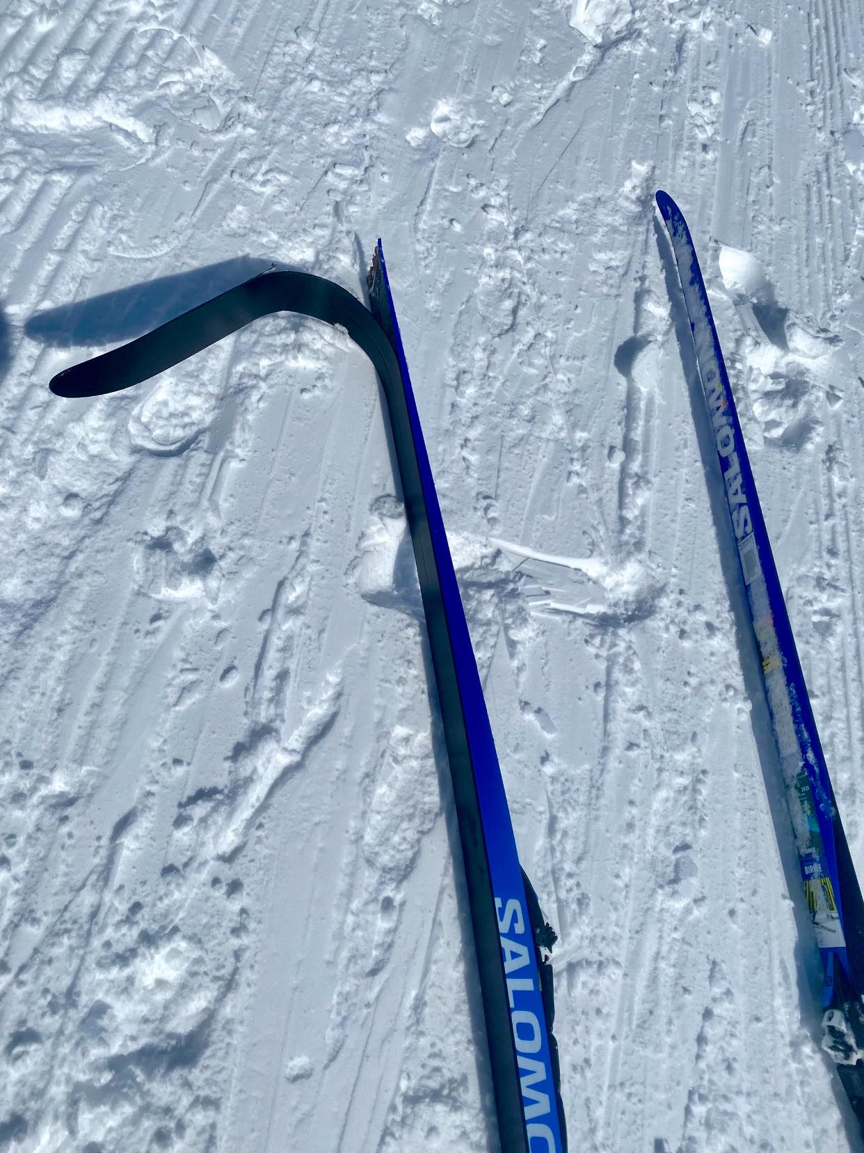 atomic classic salomon cross country skis Addikt + MI12 GW Bindings 2027 The Salomon S/Max eSkin is a lightweight skin ski with carbon wrap on the tips and tails to provide torsional rigidity adding more energy transfer into the kick Salomon RC8 eSKIN XC Ski