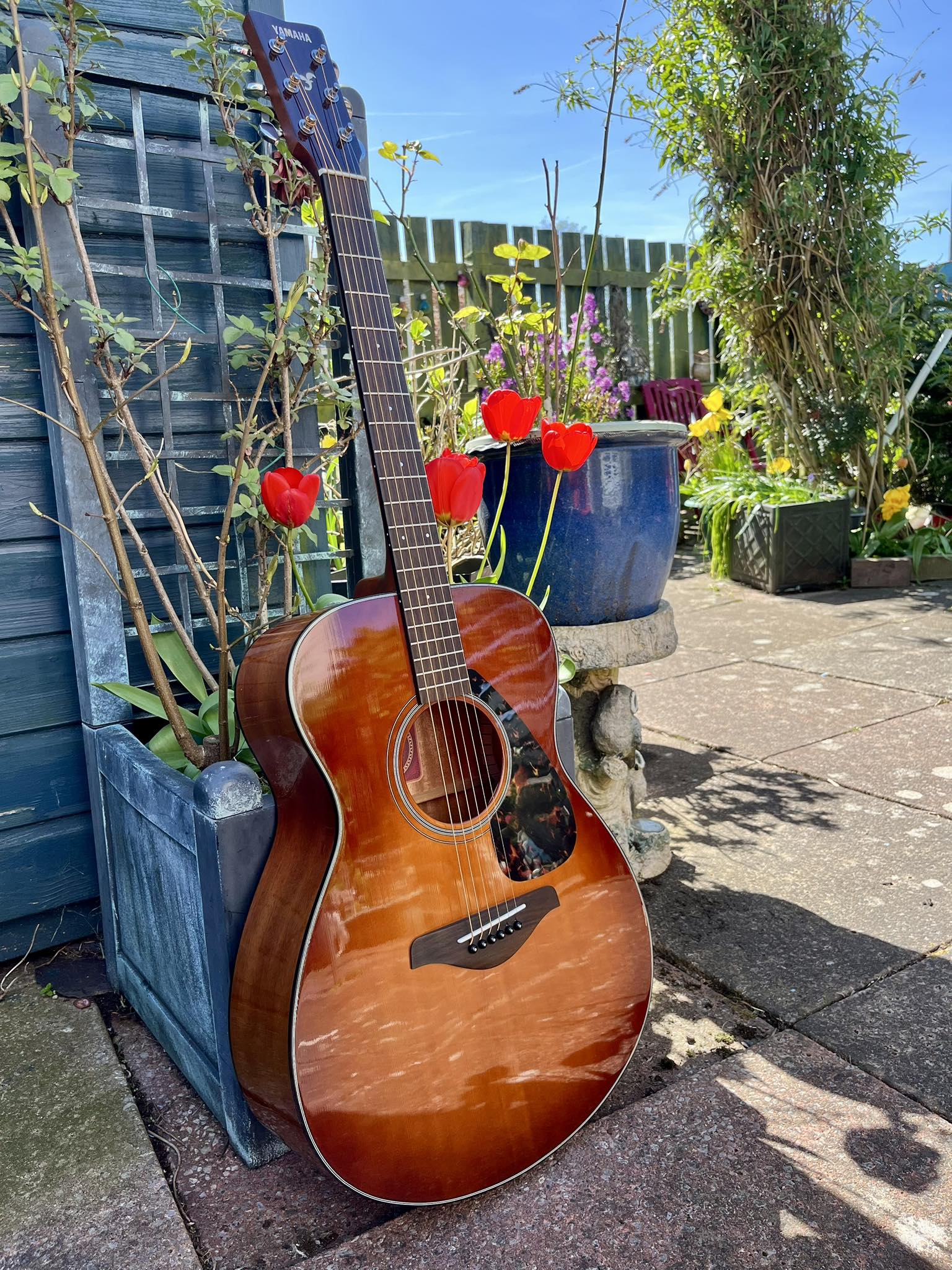 fs700s yamaha guitar appearance