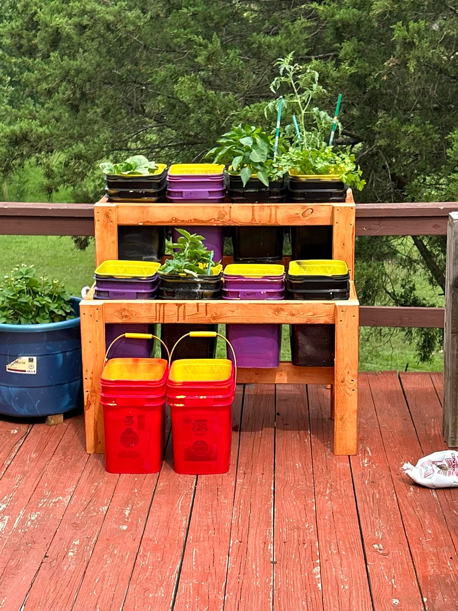 What to plant in a fall garden in Missouri?