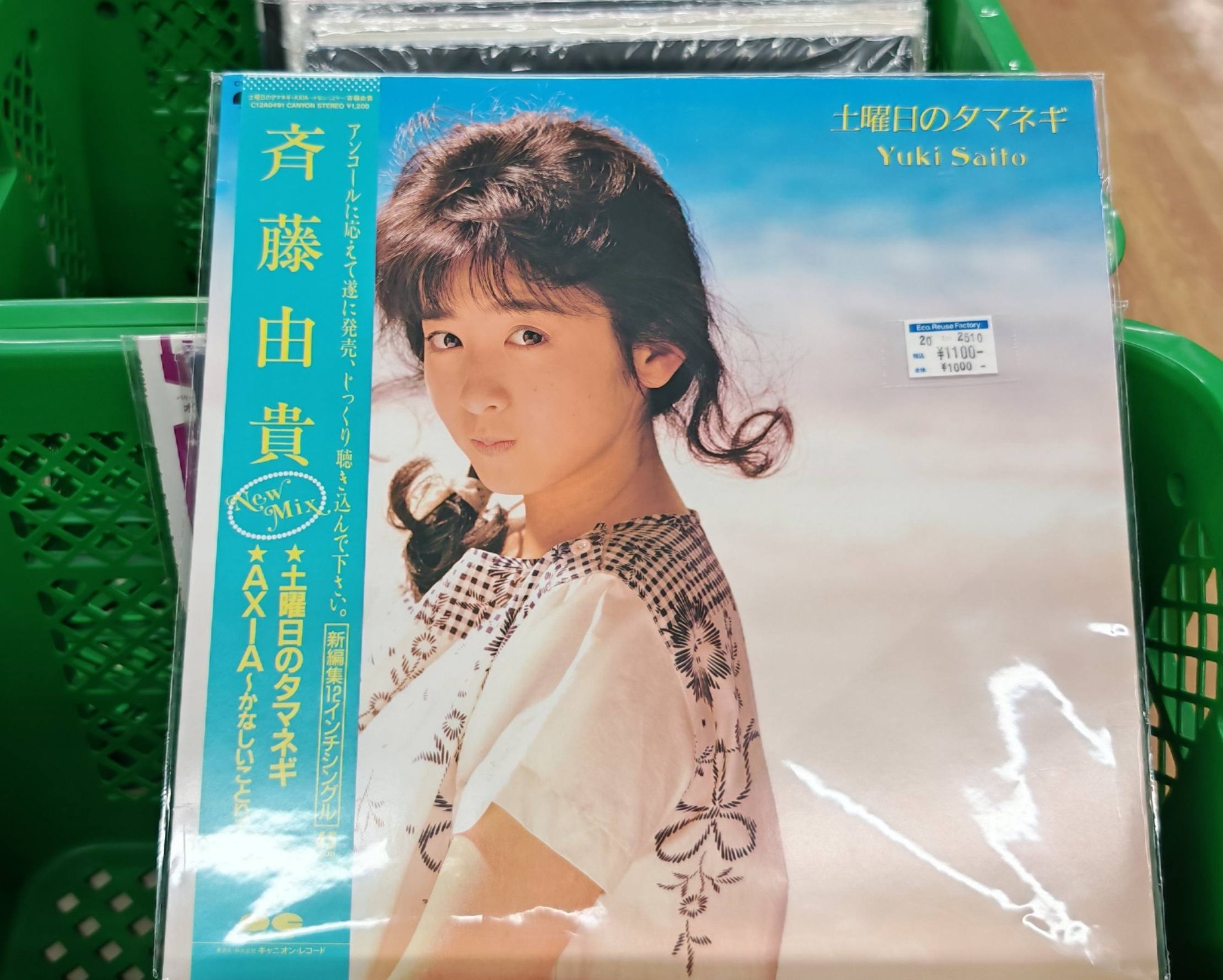 酒 井 法 子