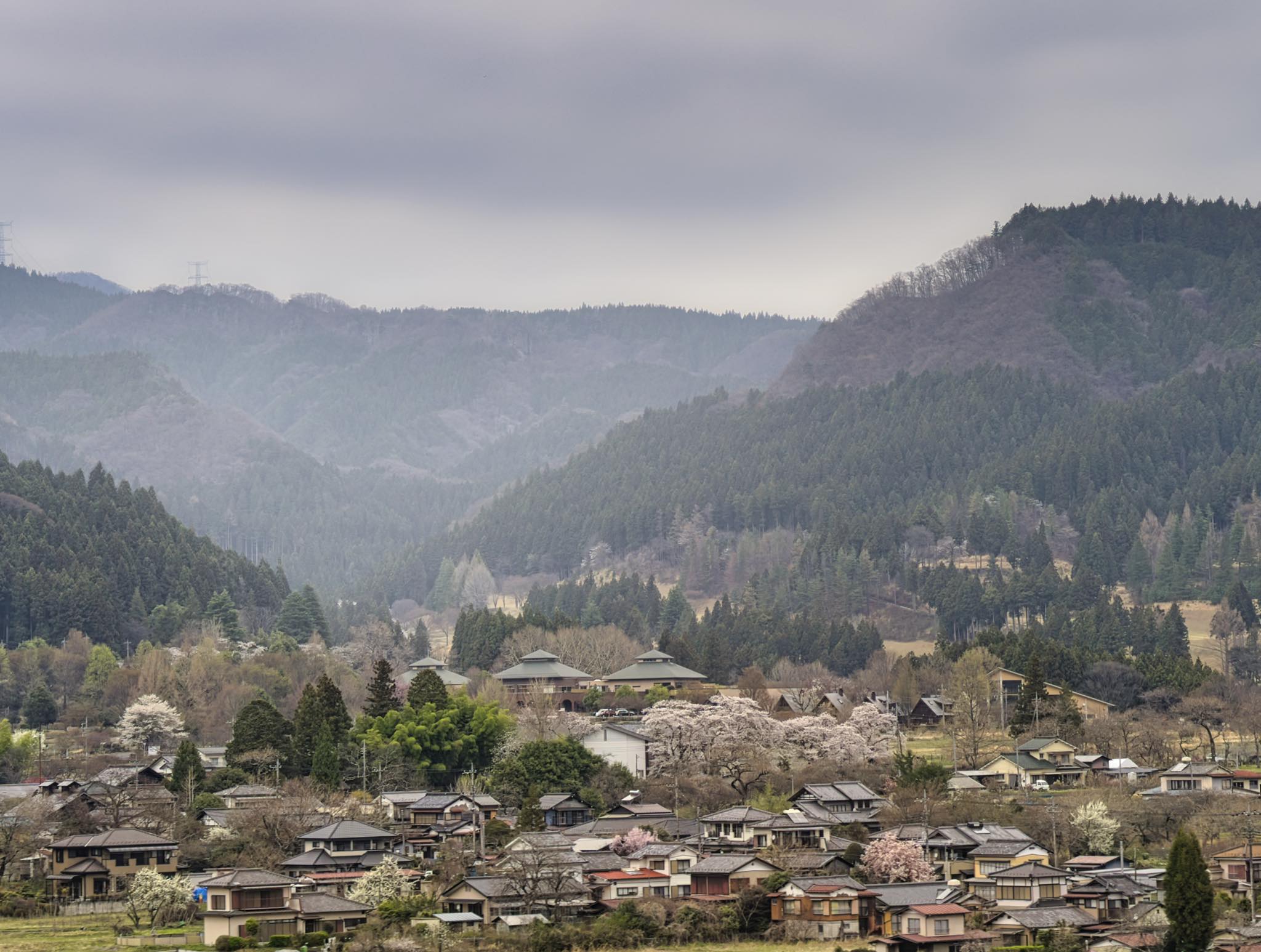 遥かな白銀の山々のふもとのサボテンのある風景 Somewhere in the quiet countryside near Nagano, Japan 🇯🇵