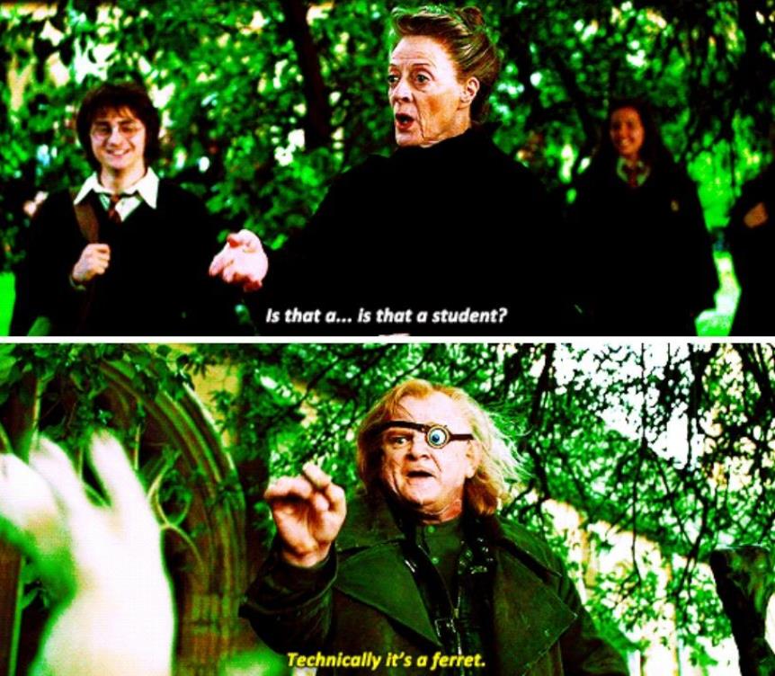 MuggleNet.com - On this day in 1994, Professor Moody turned Malfoy into ...