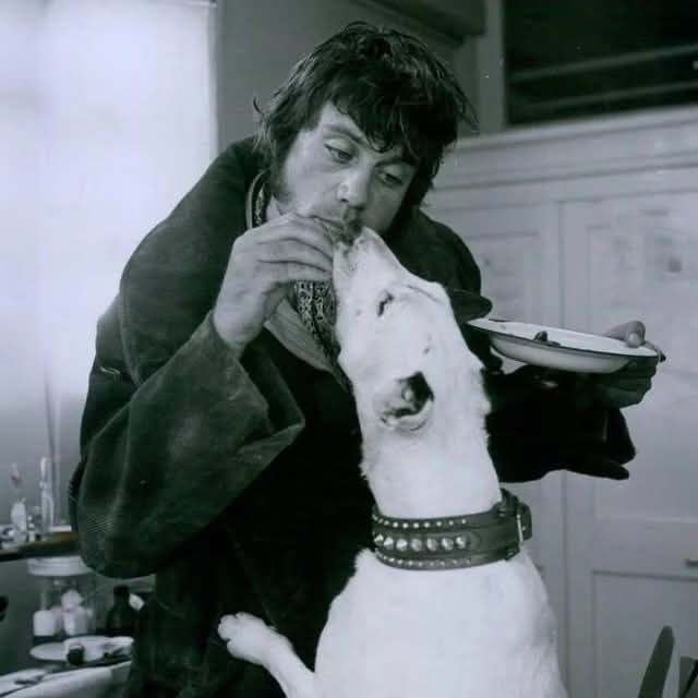 Oliver Reed (as Bill Sikes) with Butch the dog (as Bullseye)… | Facebook