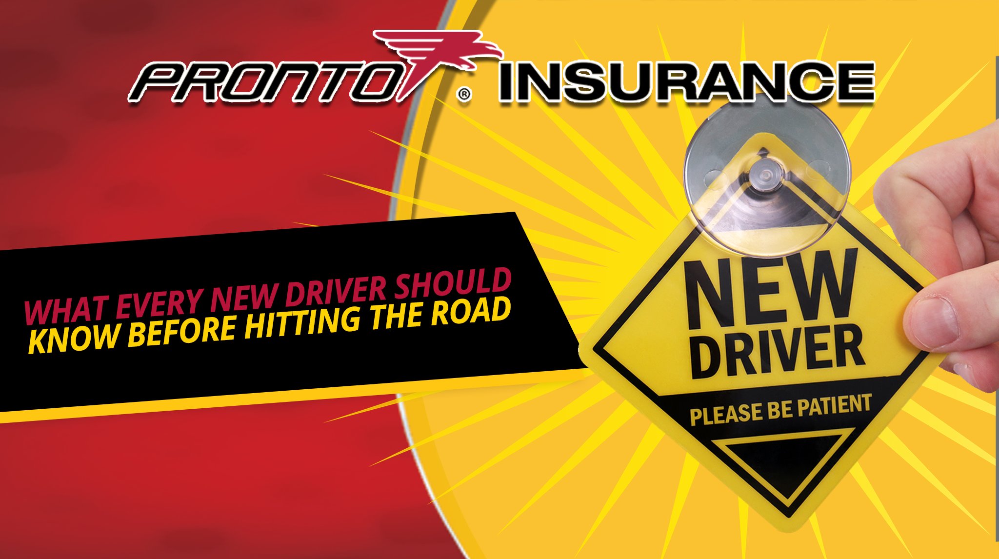 Pronto Insurance - What Every New Driver Should Know Before Hitting the ...