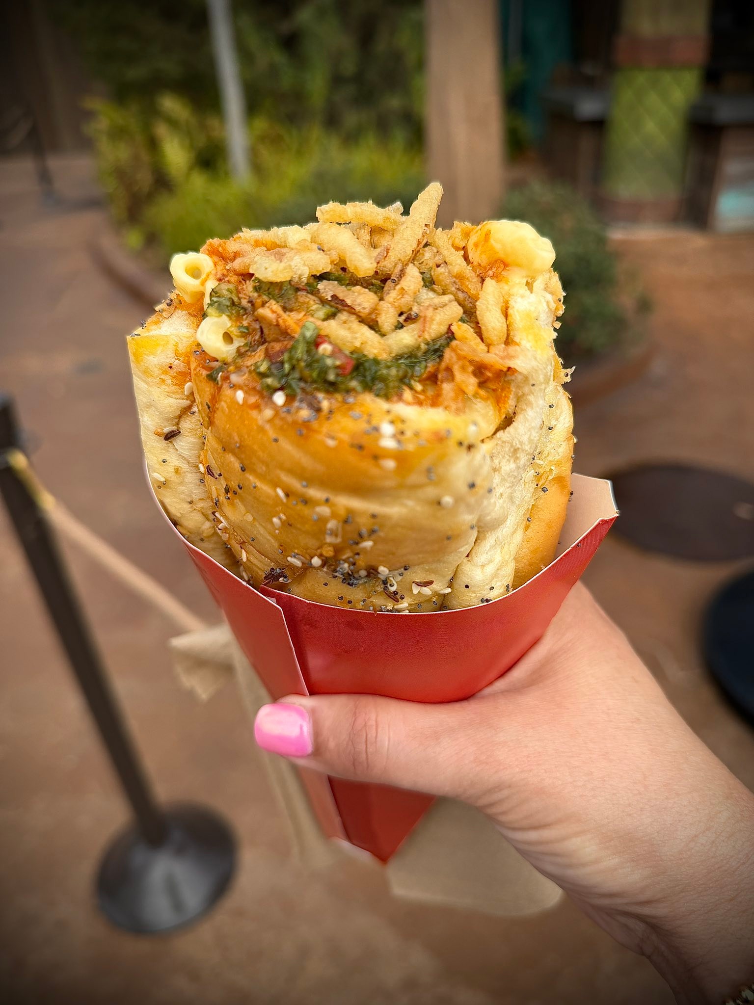 Universal Studios food options: dragon fire chicken and pb&j