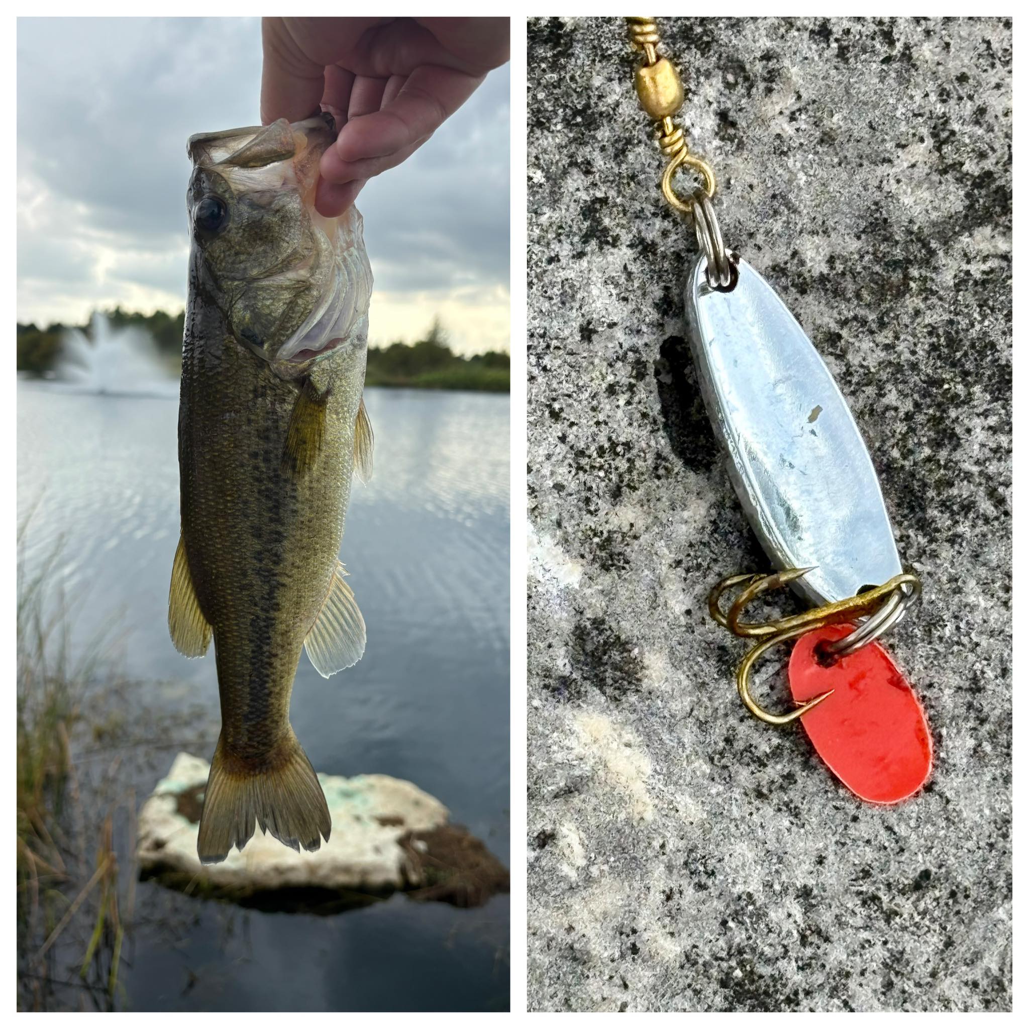 best dodger fishing lure 4 Pcs Kokanee Dodgers, 4.7 inch Kokanee Dodger Teardrop Trolling Flashers, Fishing Dodgers for Trolling : Sports & Outdoors Price_$100+ pending stop and go Size:40 ft. x 20 ft. How To Make A