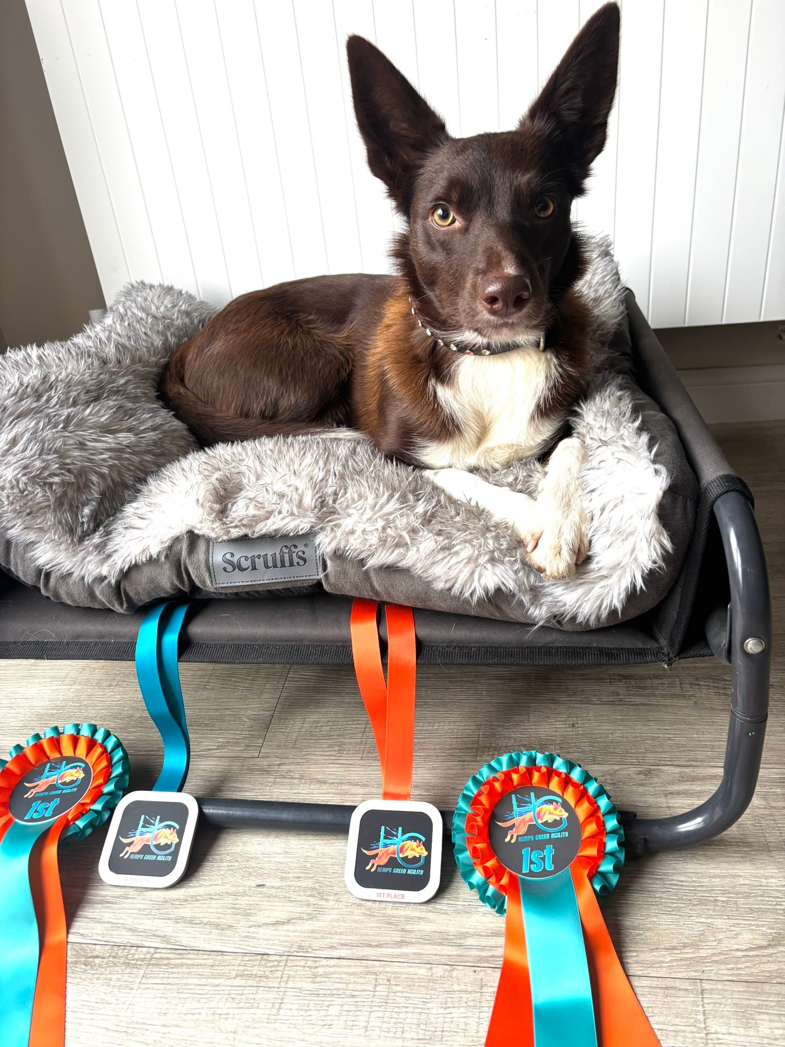 Kate Howlett - Yay 🏆🏆🥳 grade 5 baby for little Connie 😍... | Facebook