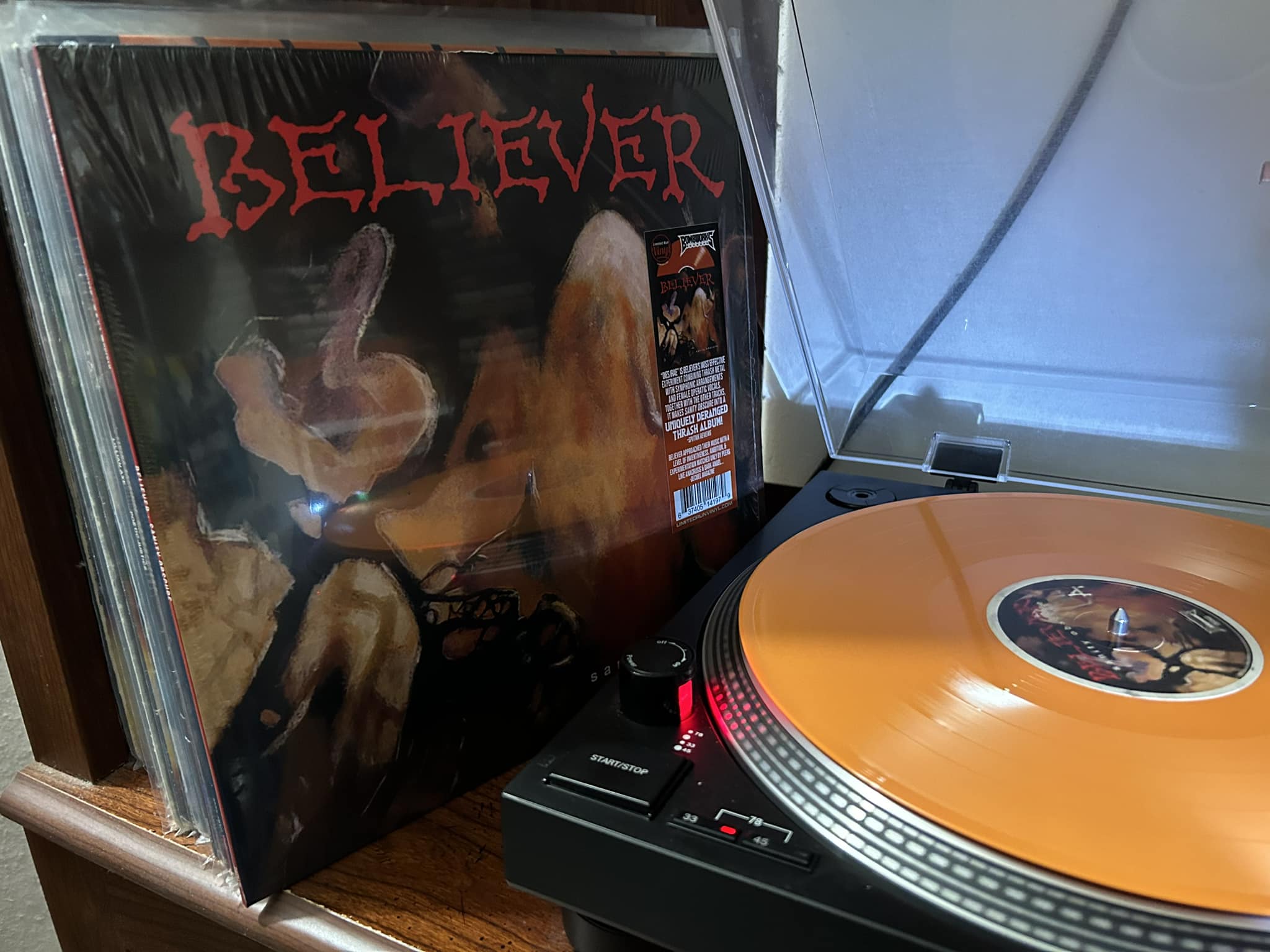 Believer's Sanity Obscure album