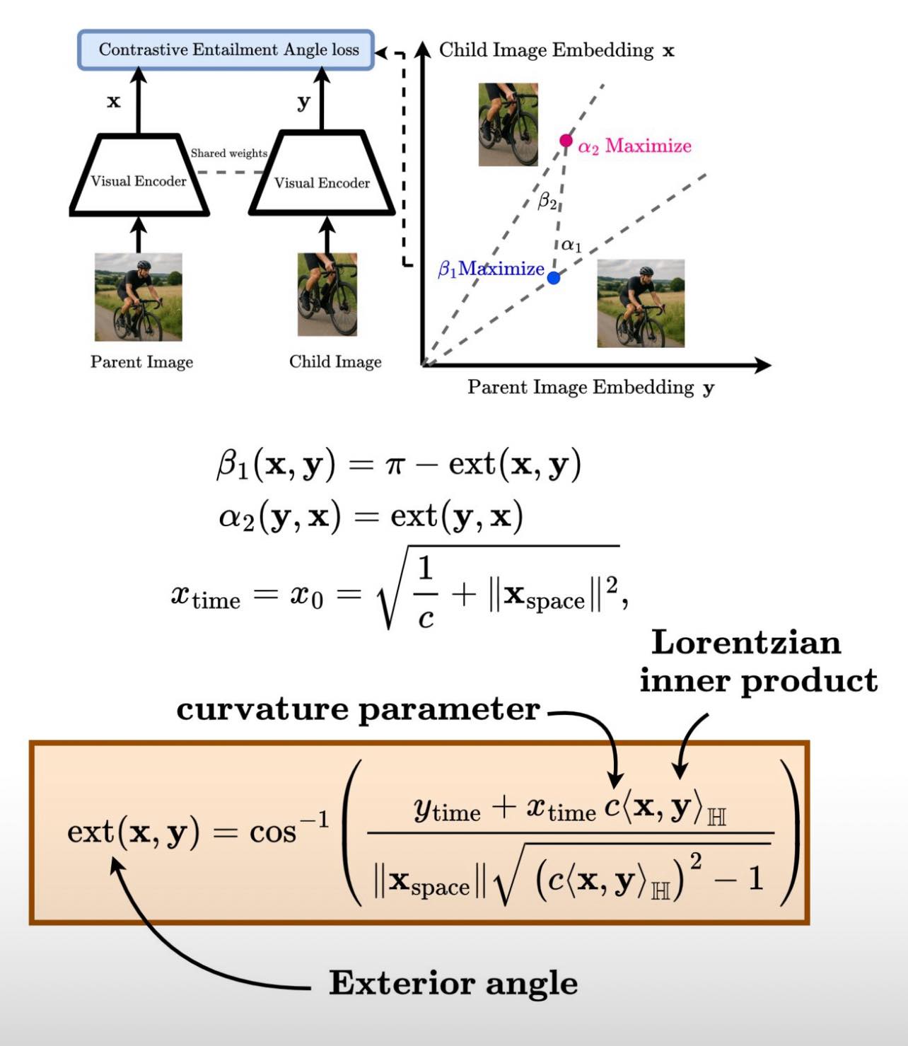 Shamoon - Curved Spaces for Smarter Vision Models 😶 Most visual ...