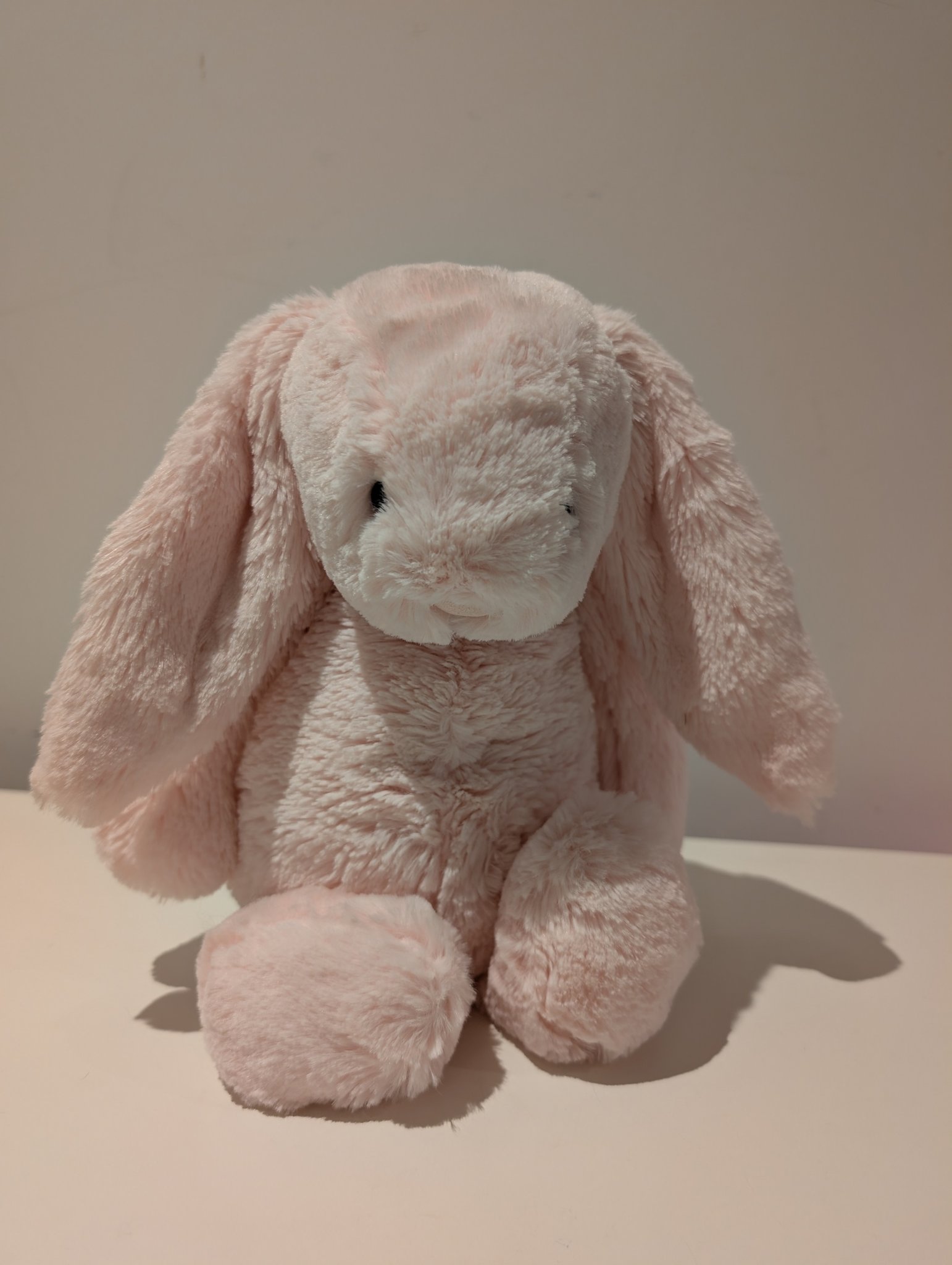 New! My name is Puddlesea Bunny 🐰💙#jellycat