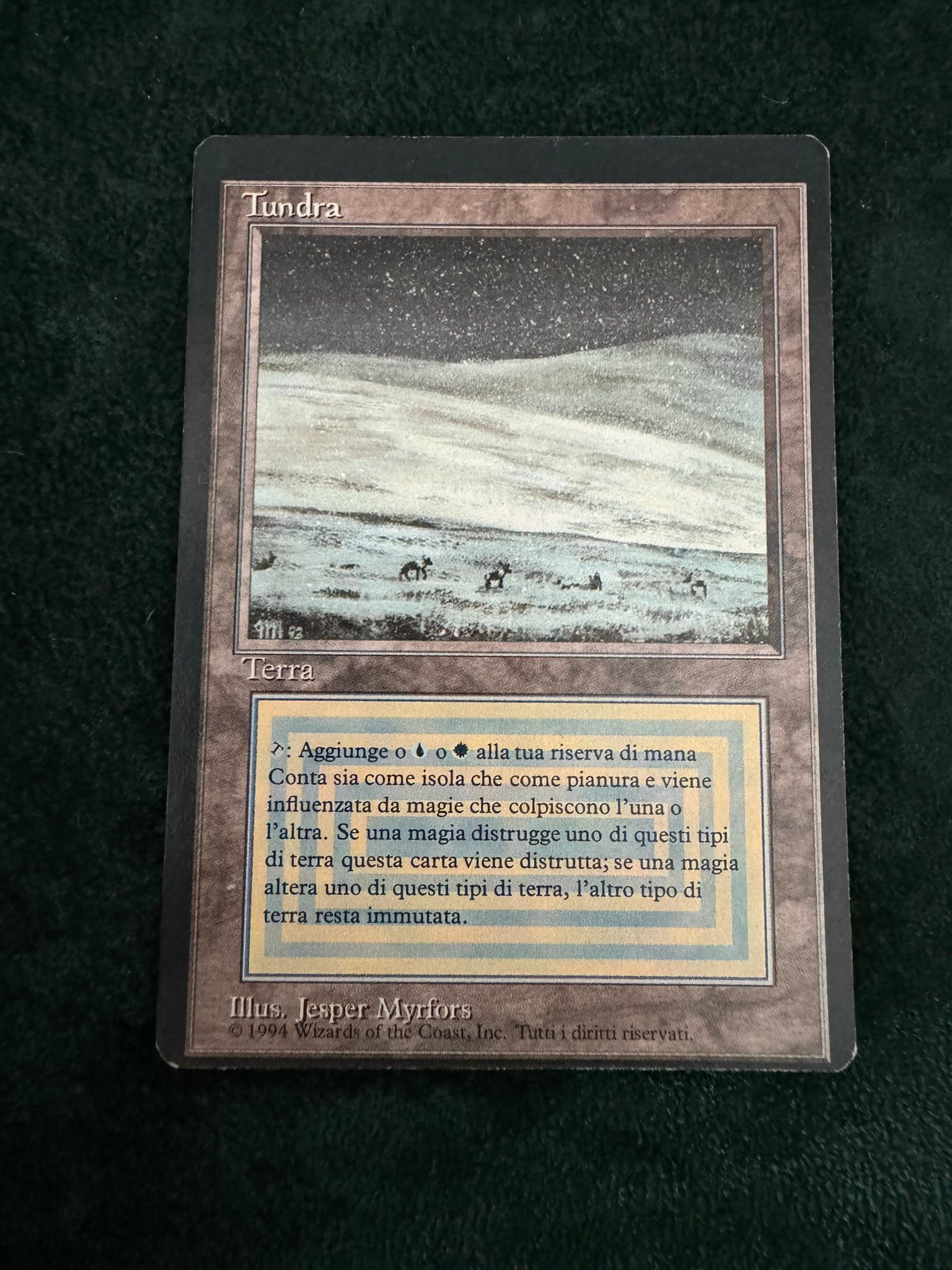 What is the estimated value of a German Tundra card?