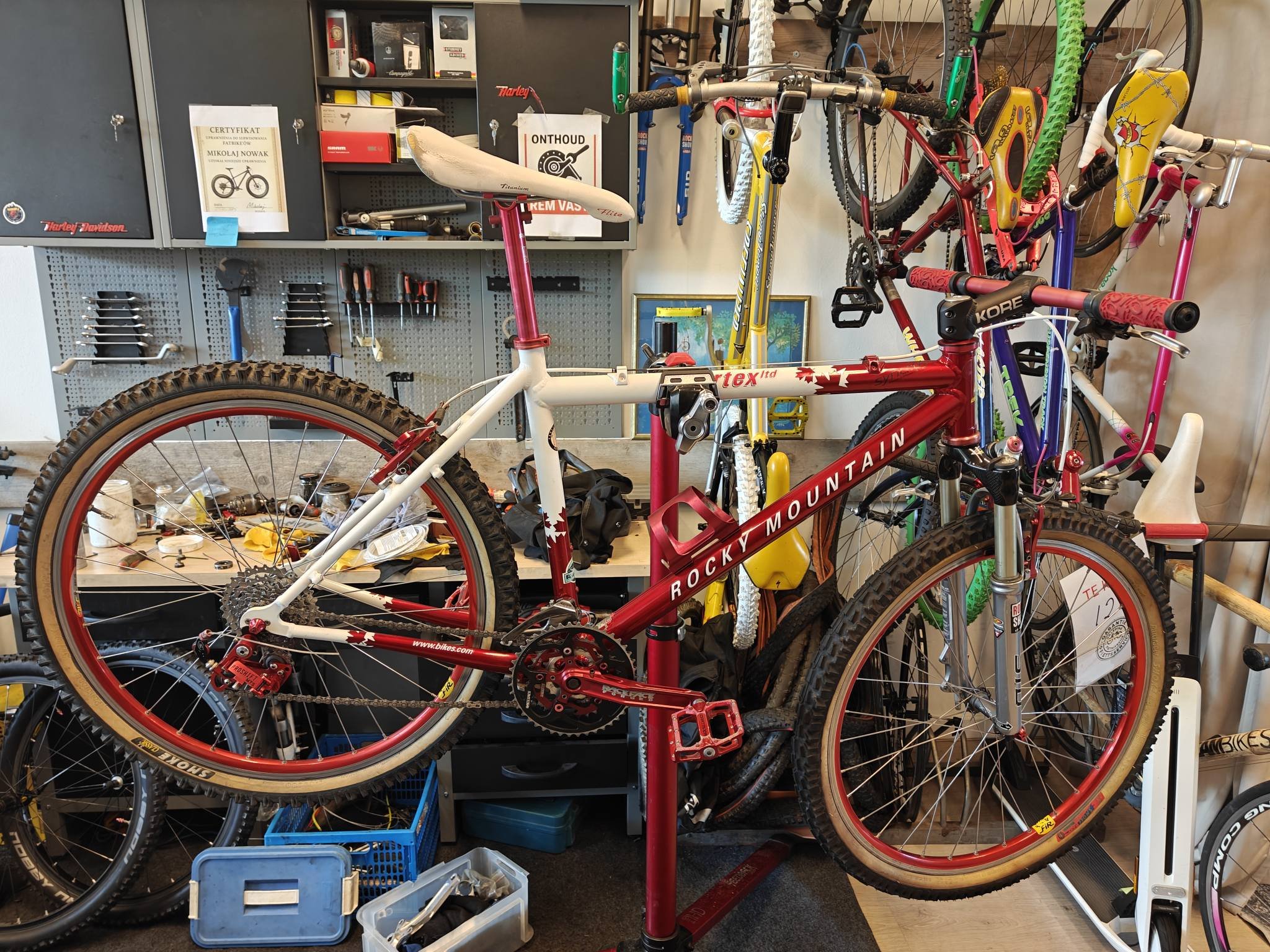 Classic Canadian mountain bike from the 90s