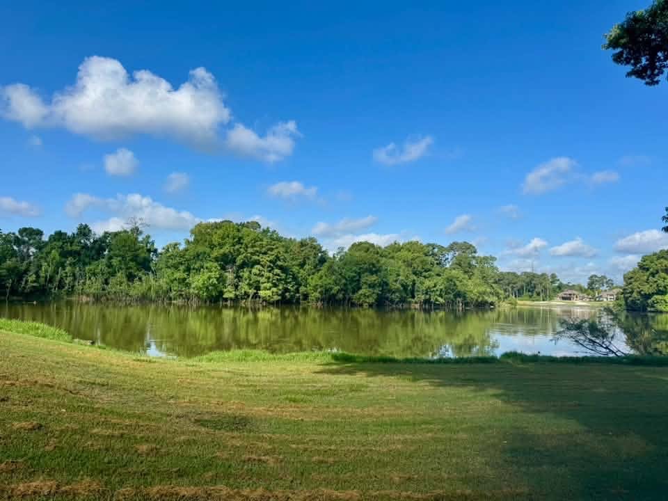 Weight loss clinics near Kingwood, Houston, TX with GLP-1/Semaglutide and nutrition guidance?