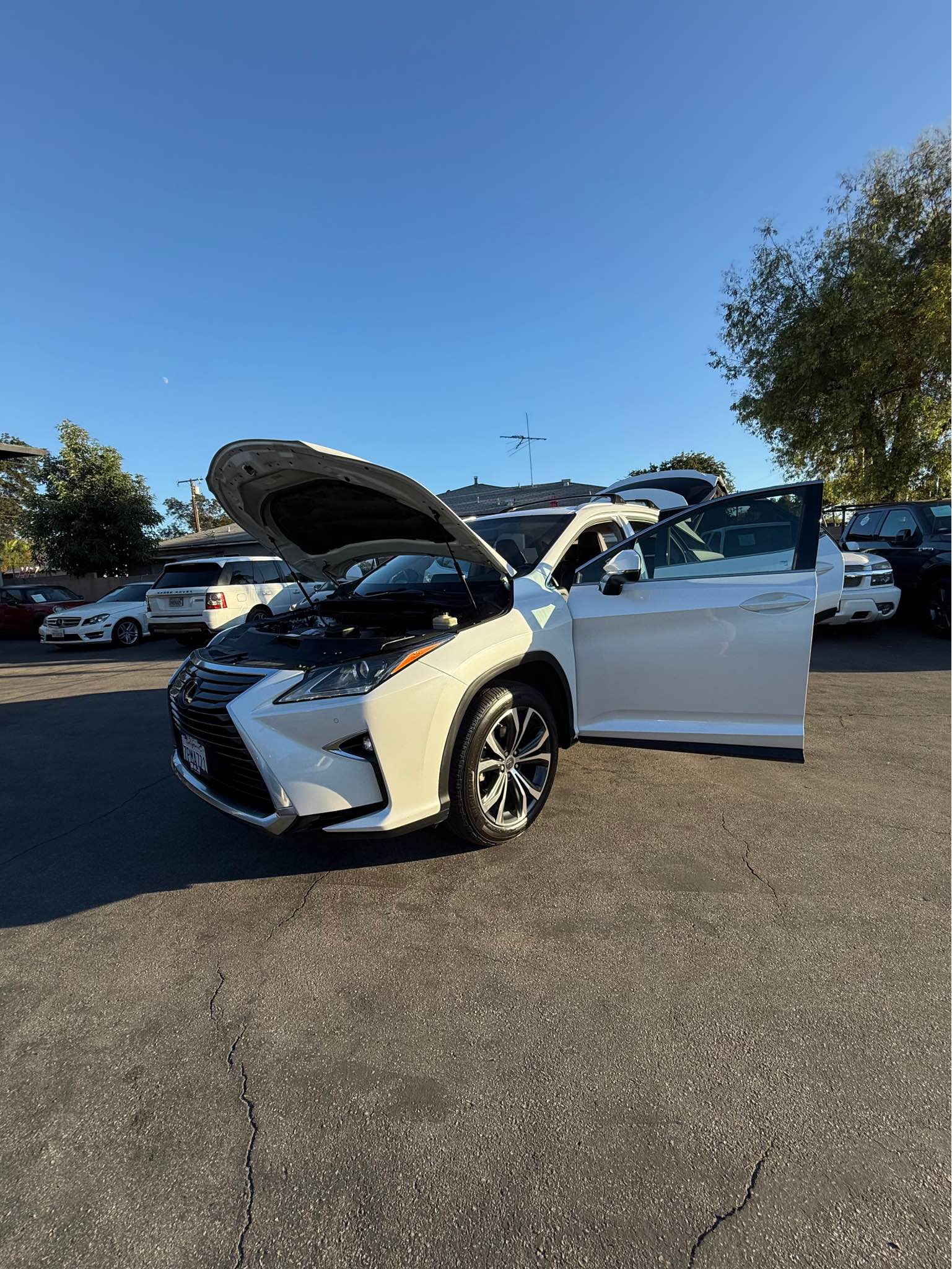 2016 Lexus RX · RX 350 Sport Utility 4D - Powersport Vehicles - Orange ...