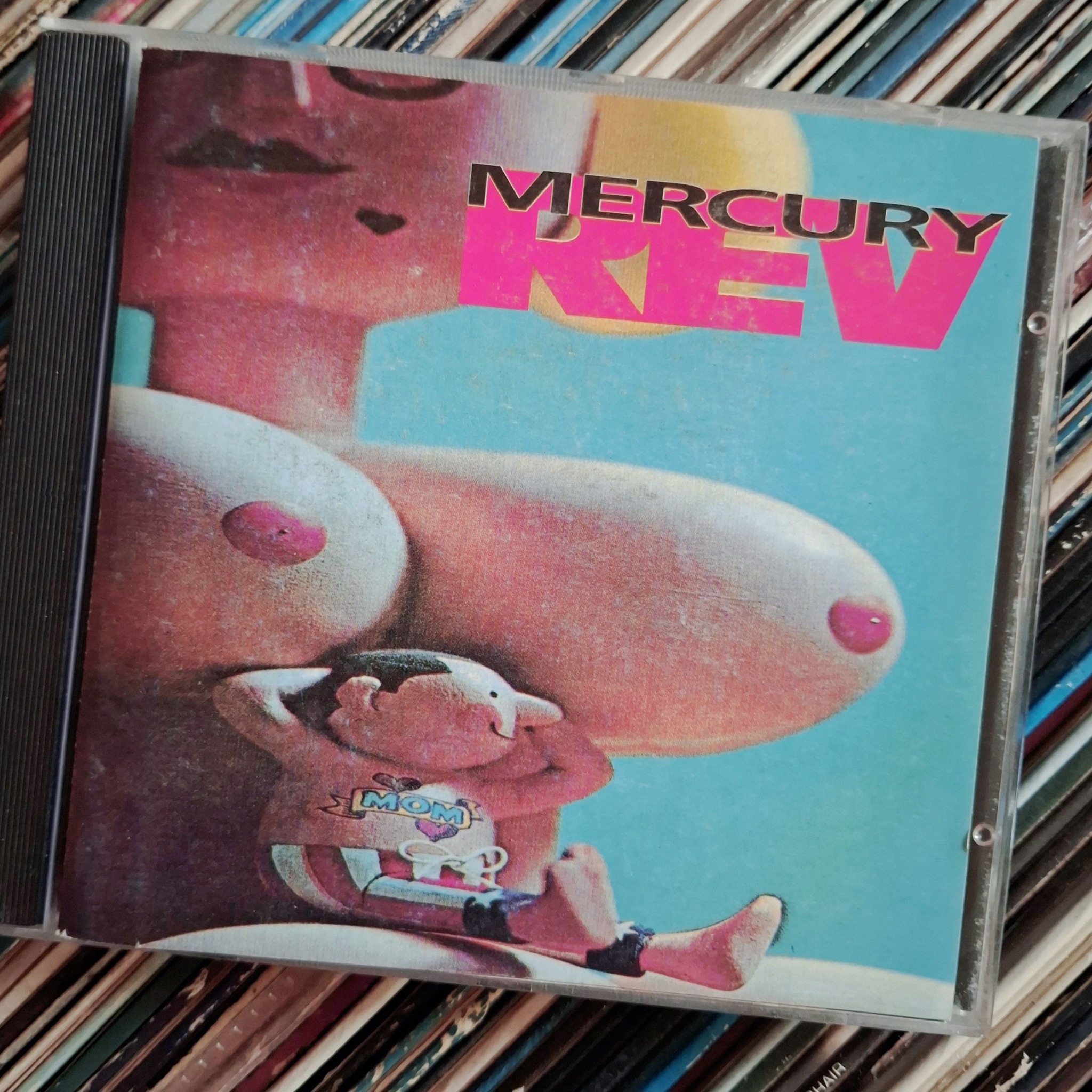 What do you think of Mercury Rev's Boces album? | Fredonia, NY