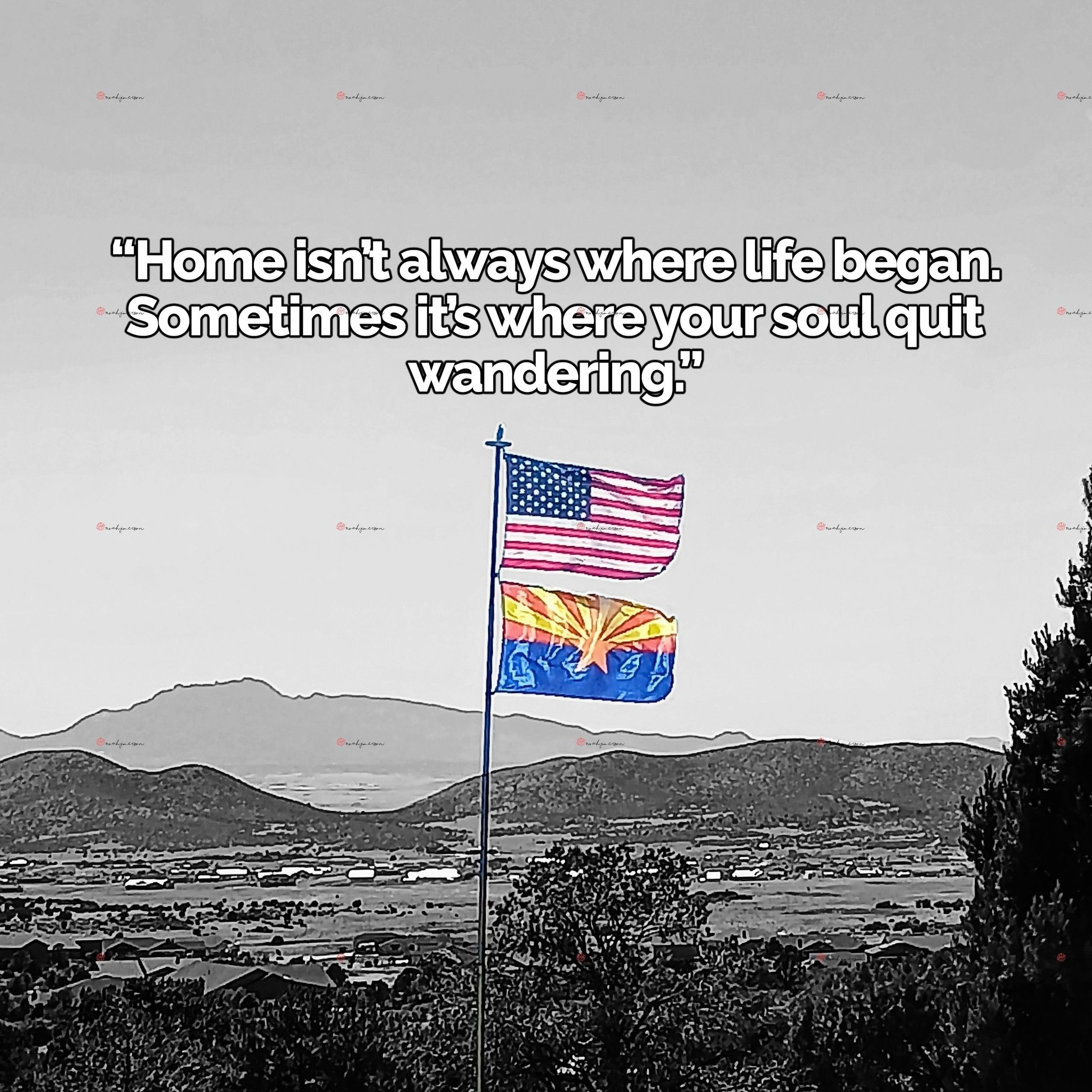 Freedom in desert landscapes of Arizona