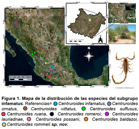 Geografia Zacatecas