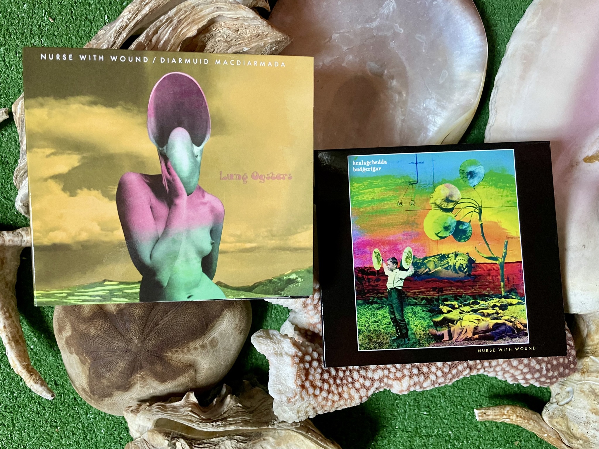 Nurse With Wound and Stereolab's Crumb Duck album