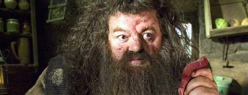 MuggleNet.com - On this day in 1995, Hagrid returns from recruiting ...