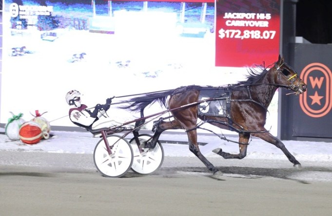 Ontario Standardbred Adoption Society | **Mohawk's Card Cancelled ...