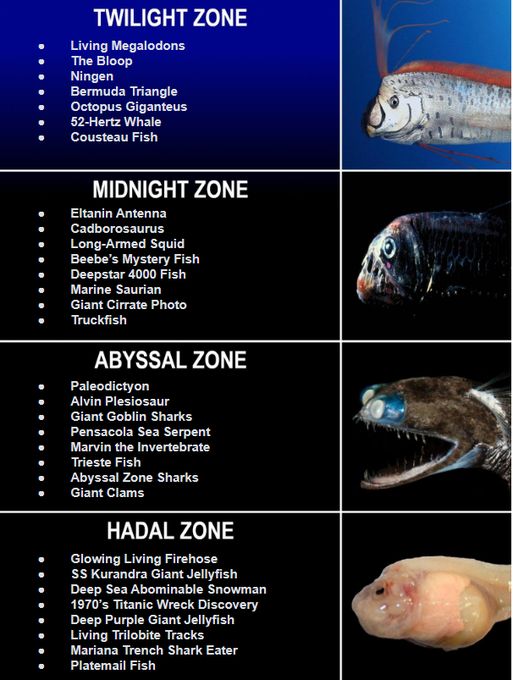 Frontiers of Zoology | Facebook