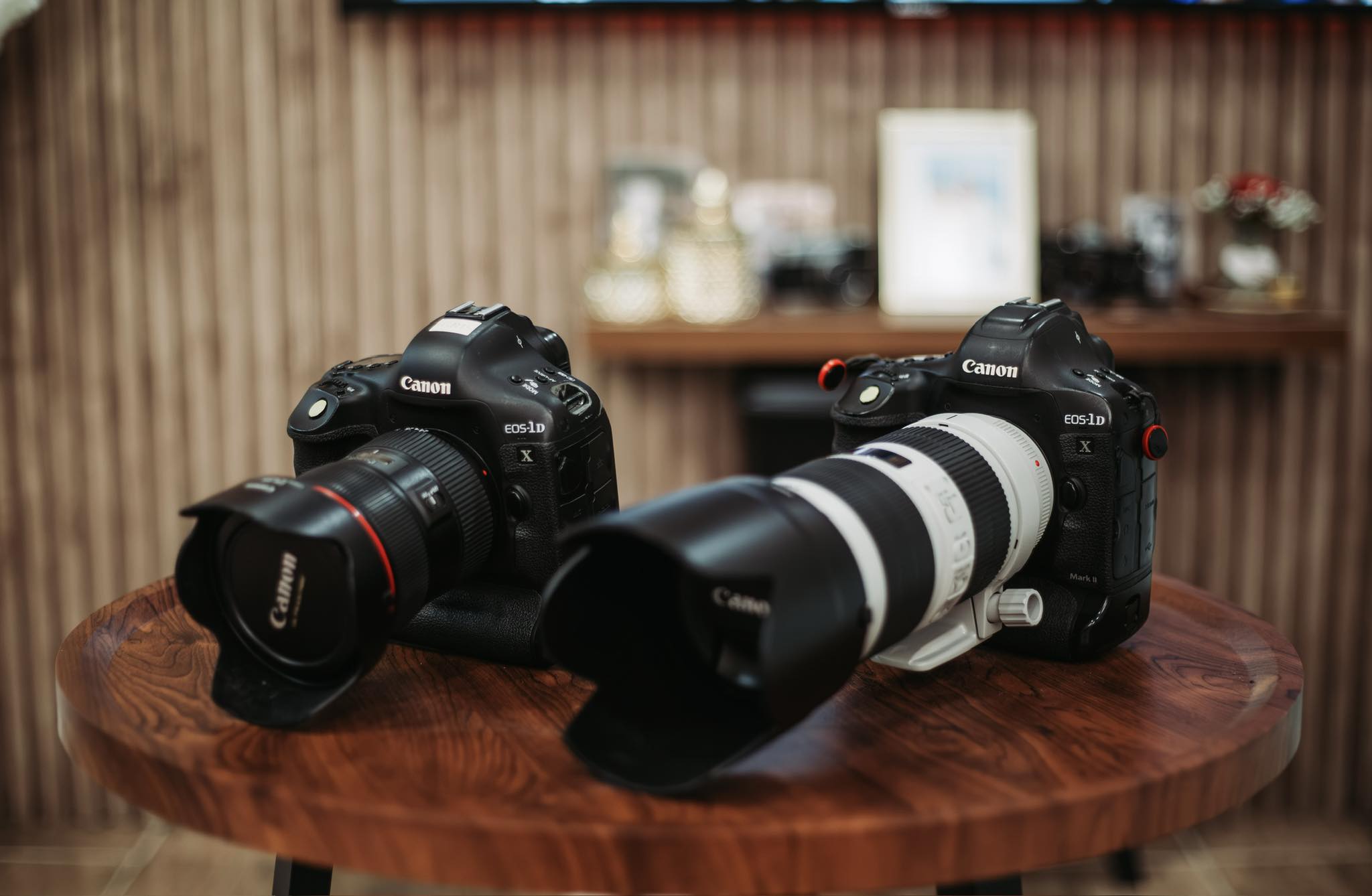 Canon 1d-x camera with ef lenses