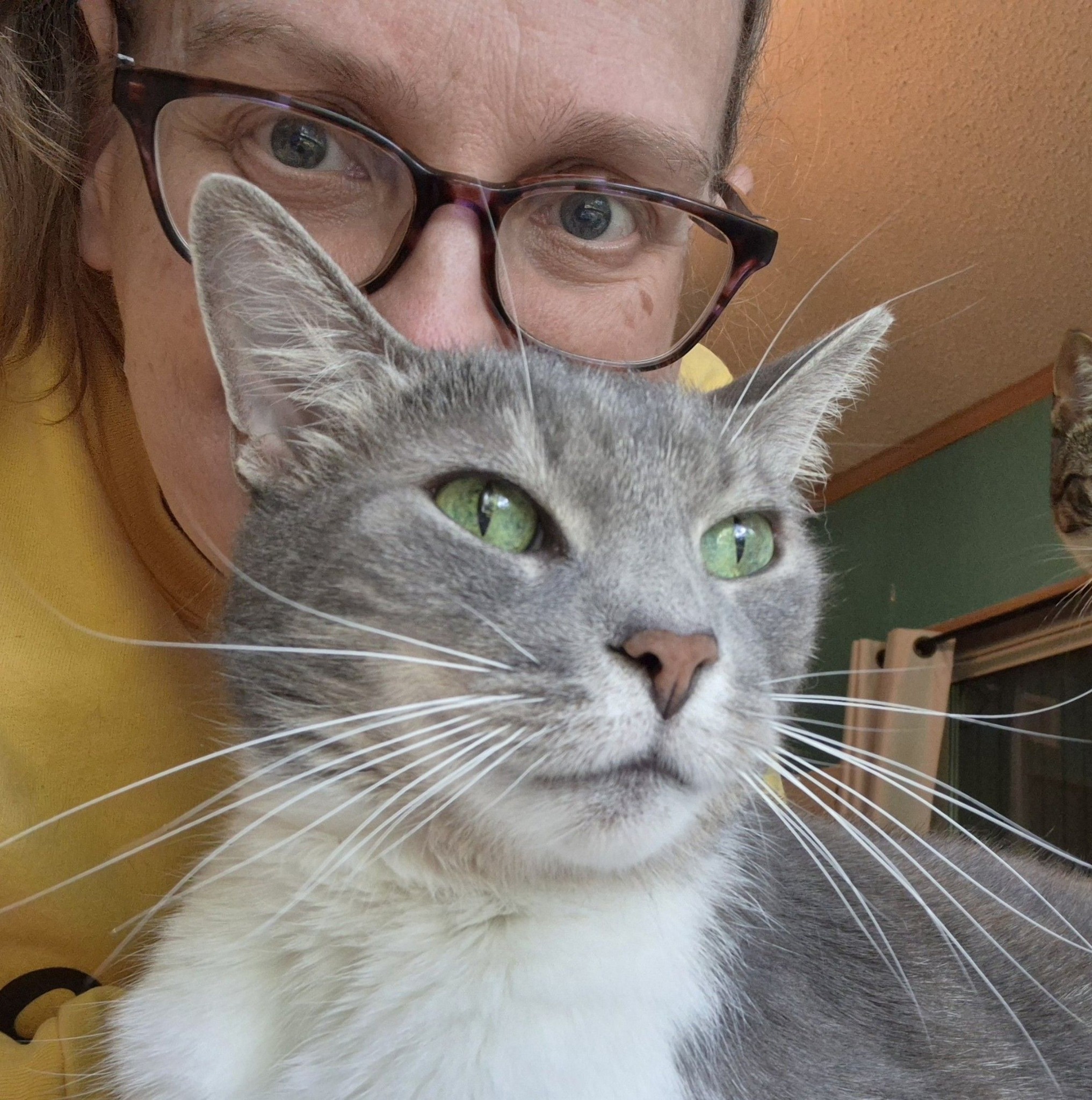 Pam Clarke - Just spoke to Ripley's vet and I'm happy to... | Facebook