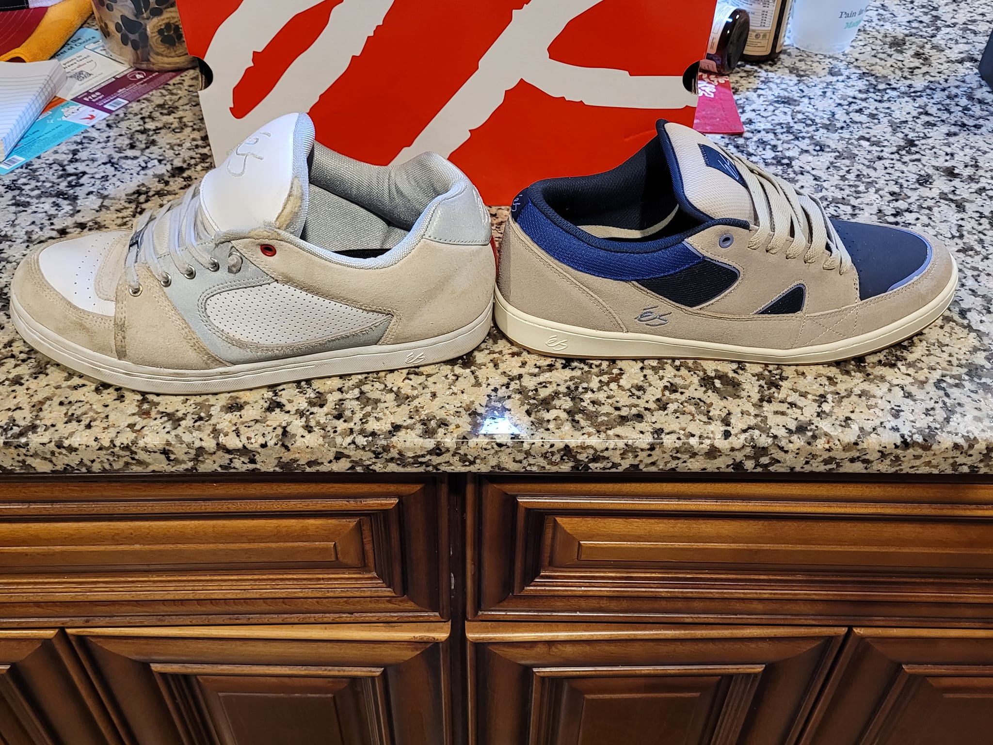 Es Accel vs Es Sophisto Skate Shoes