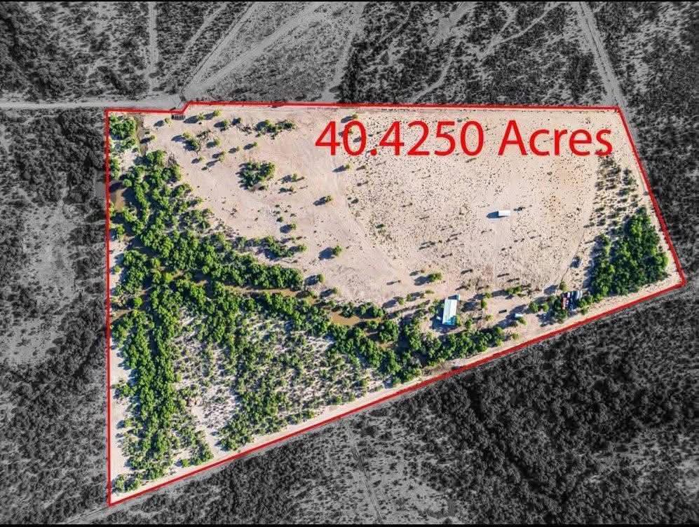 Gilma - 🌾 Discover the incredible 40-Acres Ranch! 🐎🌳 📍 125 Sundown ...