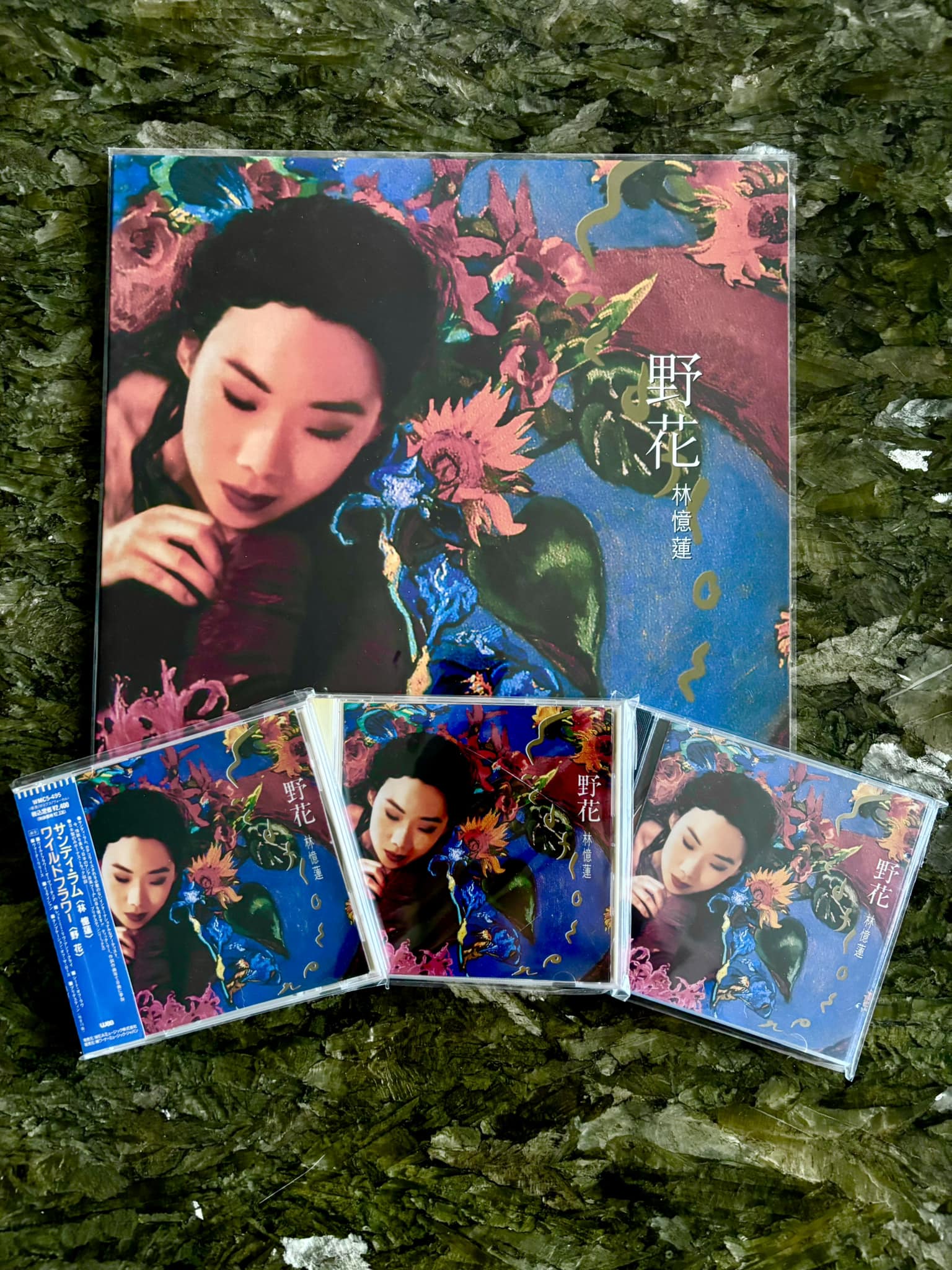 野花Sandy Lam 林憶蓮#野花野花林憶連لة あ教教局イ6 野だ0 ル가학ፓተ 