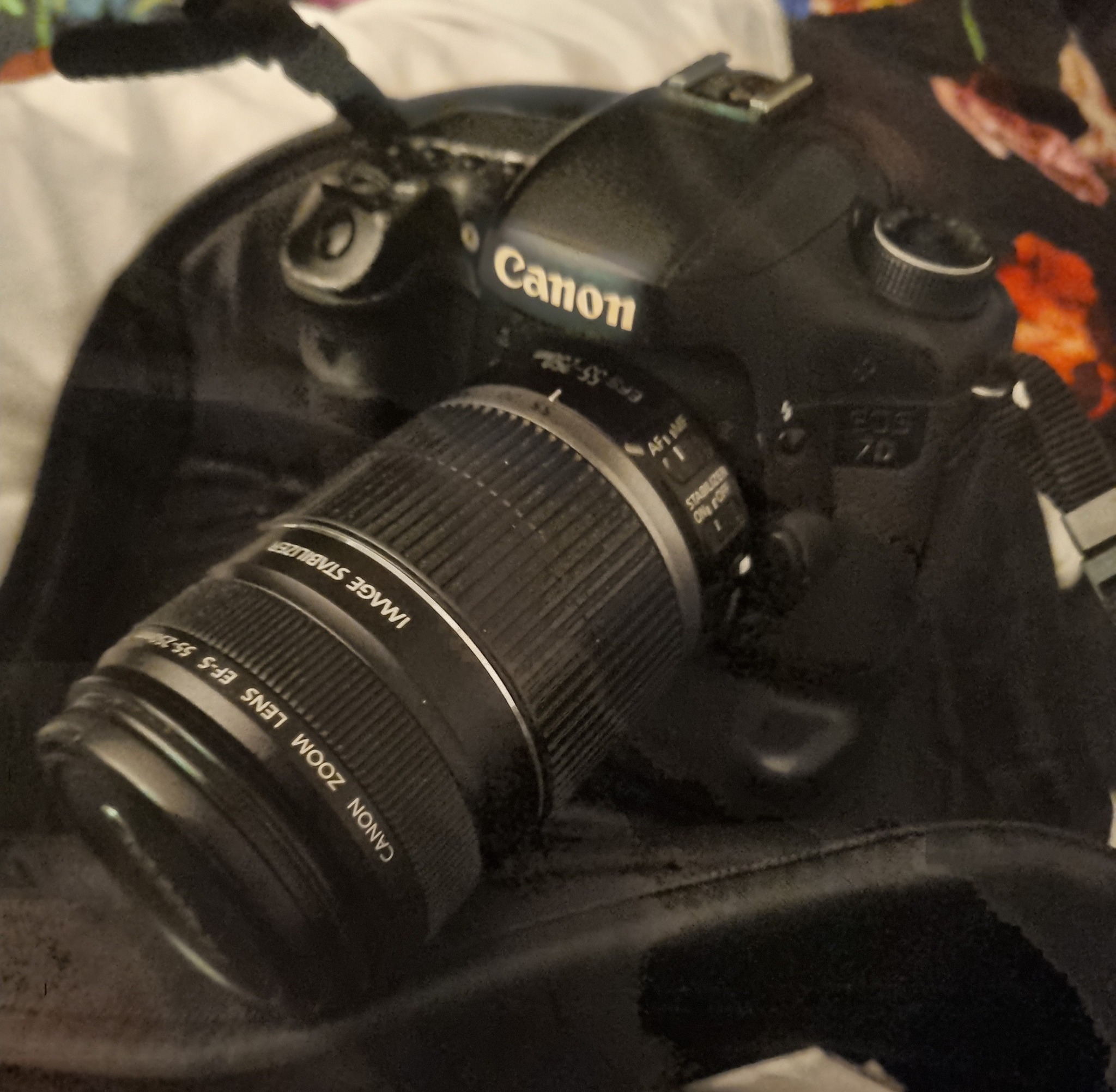 Tips for sharp wildlife photos with canon eos 7d?
