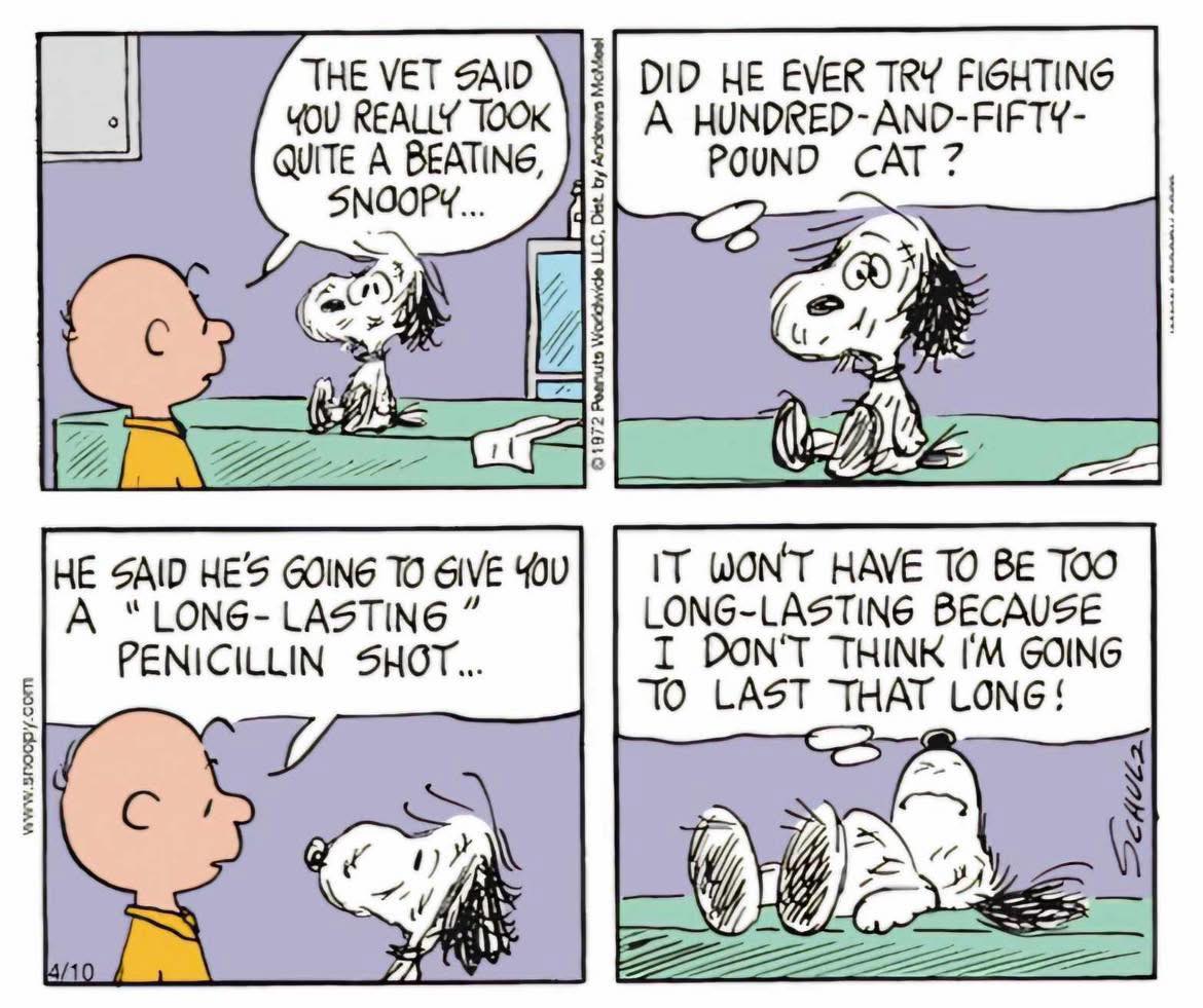 Sound about right! Woodstock would not eat much but Snoopy has a