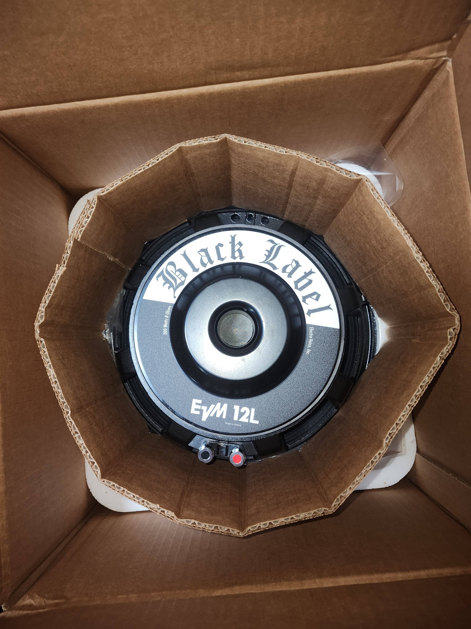 EYM 箱 Can I mix 8 ohm and 16 ohm speakers with a Zack Wilde EVM 12L?