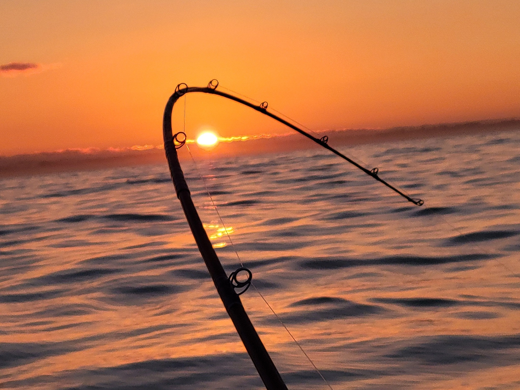 rainshadow blank shimano clarus downrigger rod RX6 E-Glass Trolling Rods or for anyone who simply appreciates a great value! Blanks - Rainshadow - Colored
