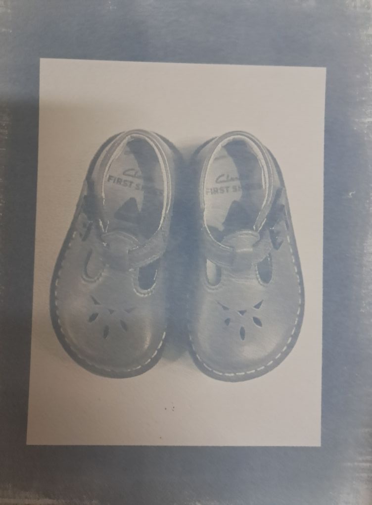 Alternative photographic processes | First steps in cyanotype, toned ...