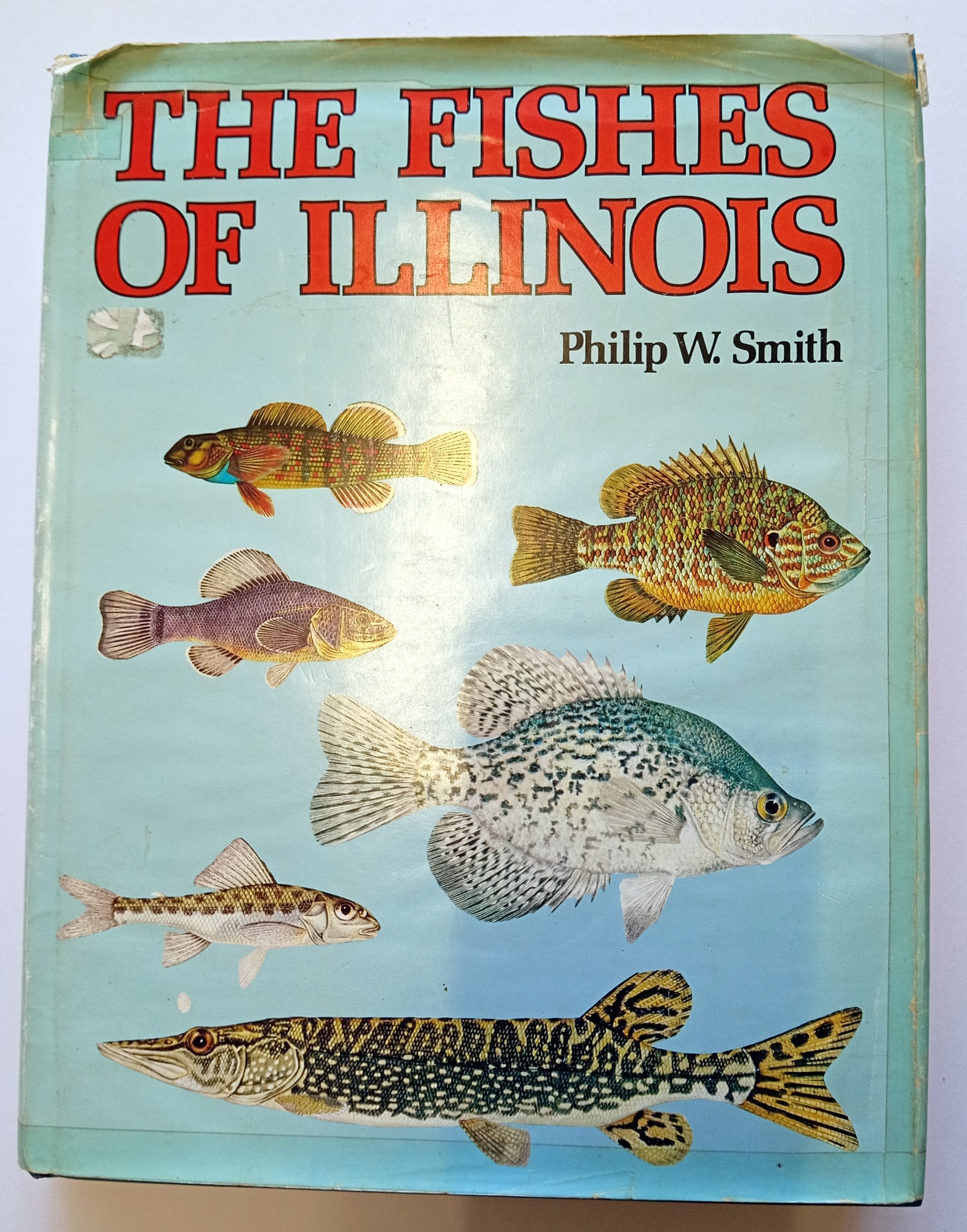 I have an extra copy of Jorgen Scheel's classic killifish' book