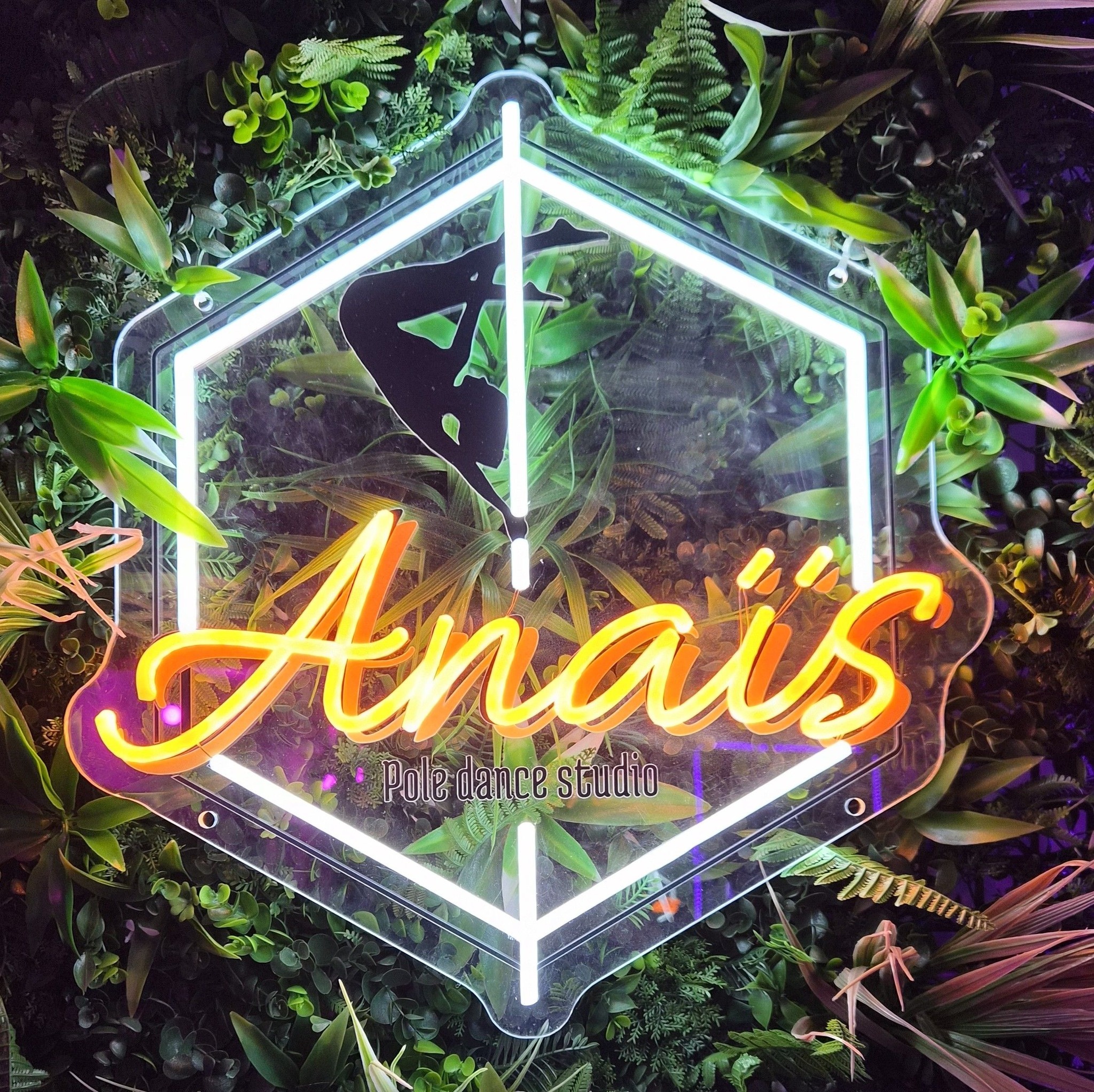 Anais Pole'Addict