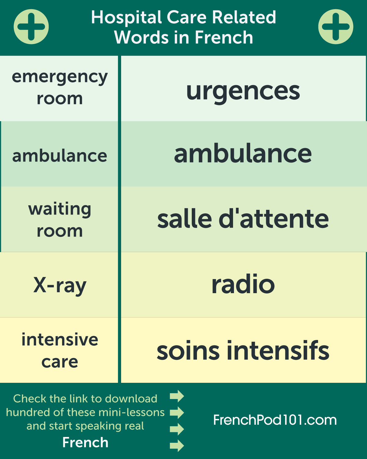 Learn French Frenchpod101 Com Study Some Common Hospital Care Related Words In French Ps Learn French With The Best Free Online Resources Just Click Here Https Www Frenchpod101 Com Src Facebook Special Infographic Hospital
