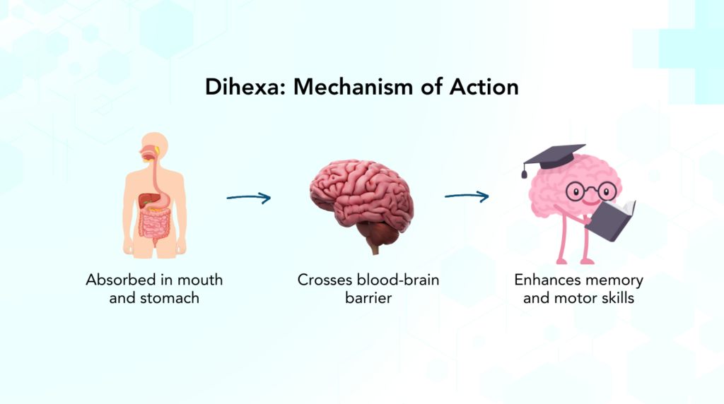 dihexa brain repair benefits One of the ingredients in Elevate that I've been really fascinated by is As someone who is constantly juggling a lot… being a mom of two, teaching high school math, working MG:10mg Treatment of spine compression PA warehouse