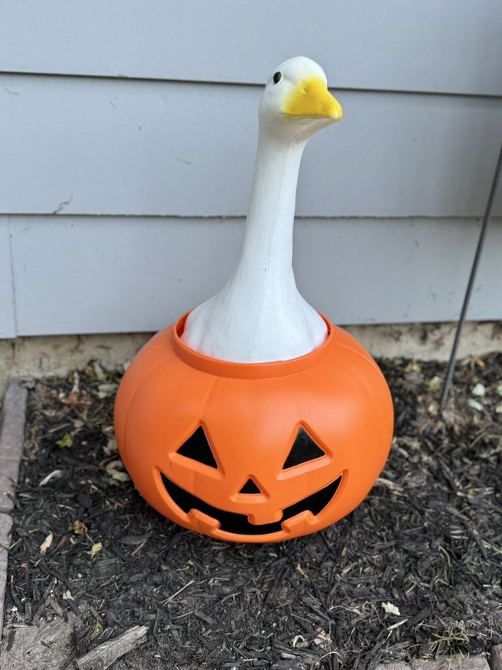 The Porch Goose Club of America | My geese are ready for Halloween ...