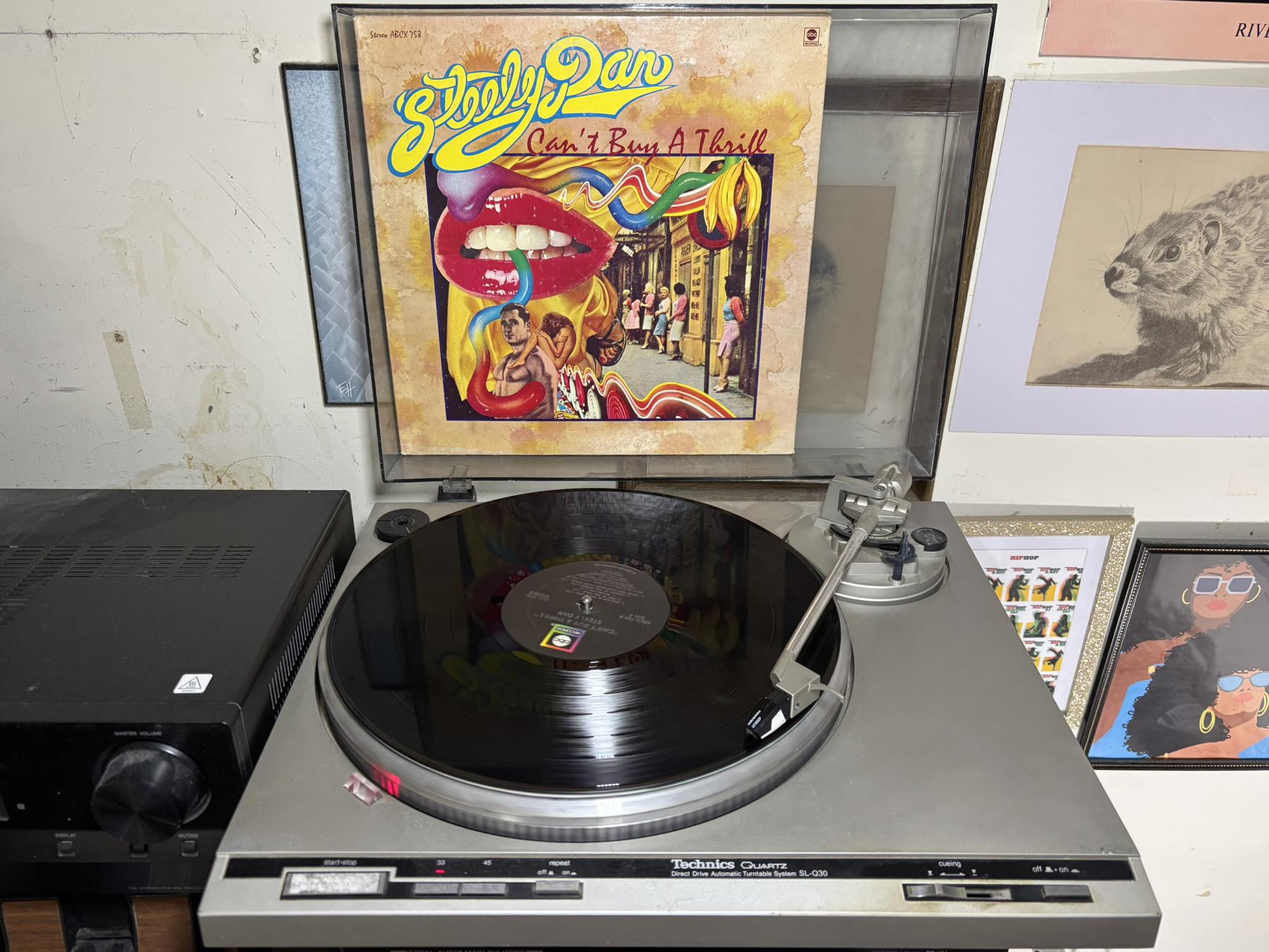 Steely Dan's Citizen Steely Dan box set was released 31 years ago