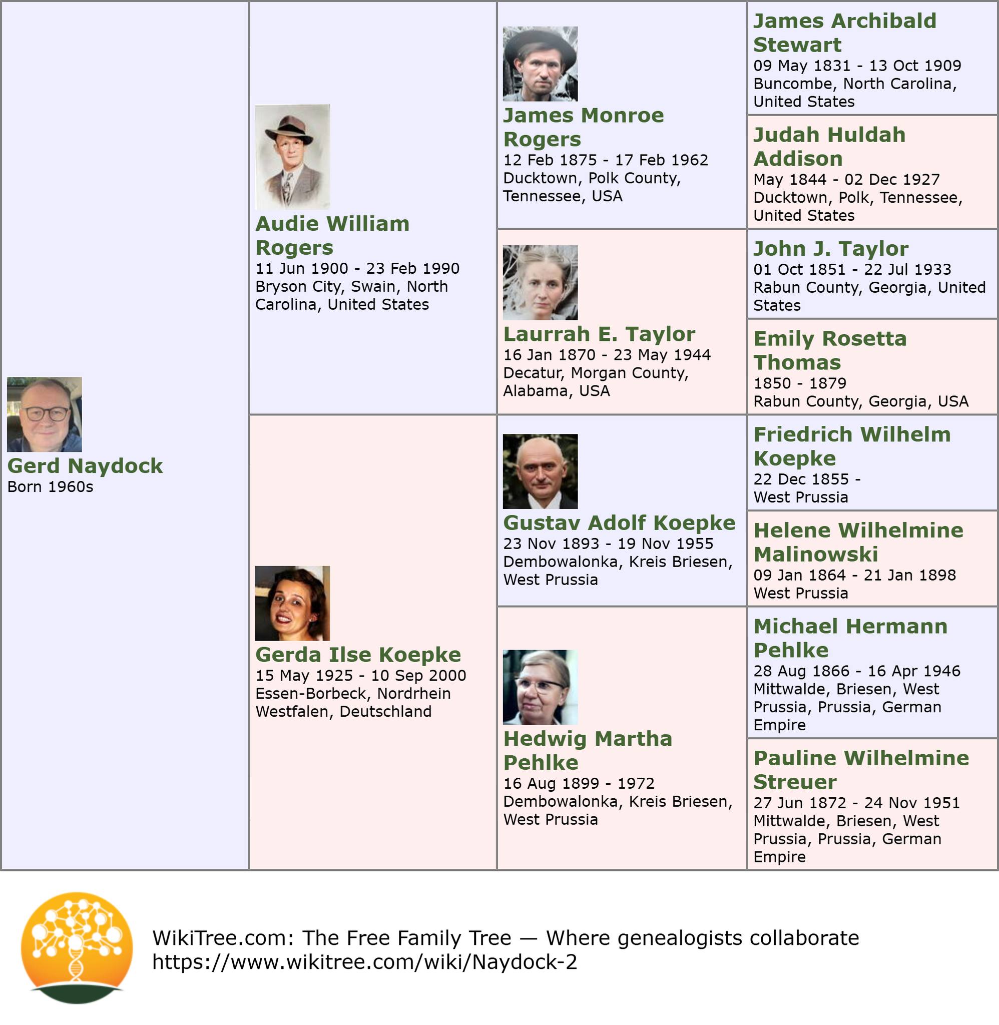 No Tree Need Aint Tree – Family / Family