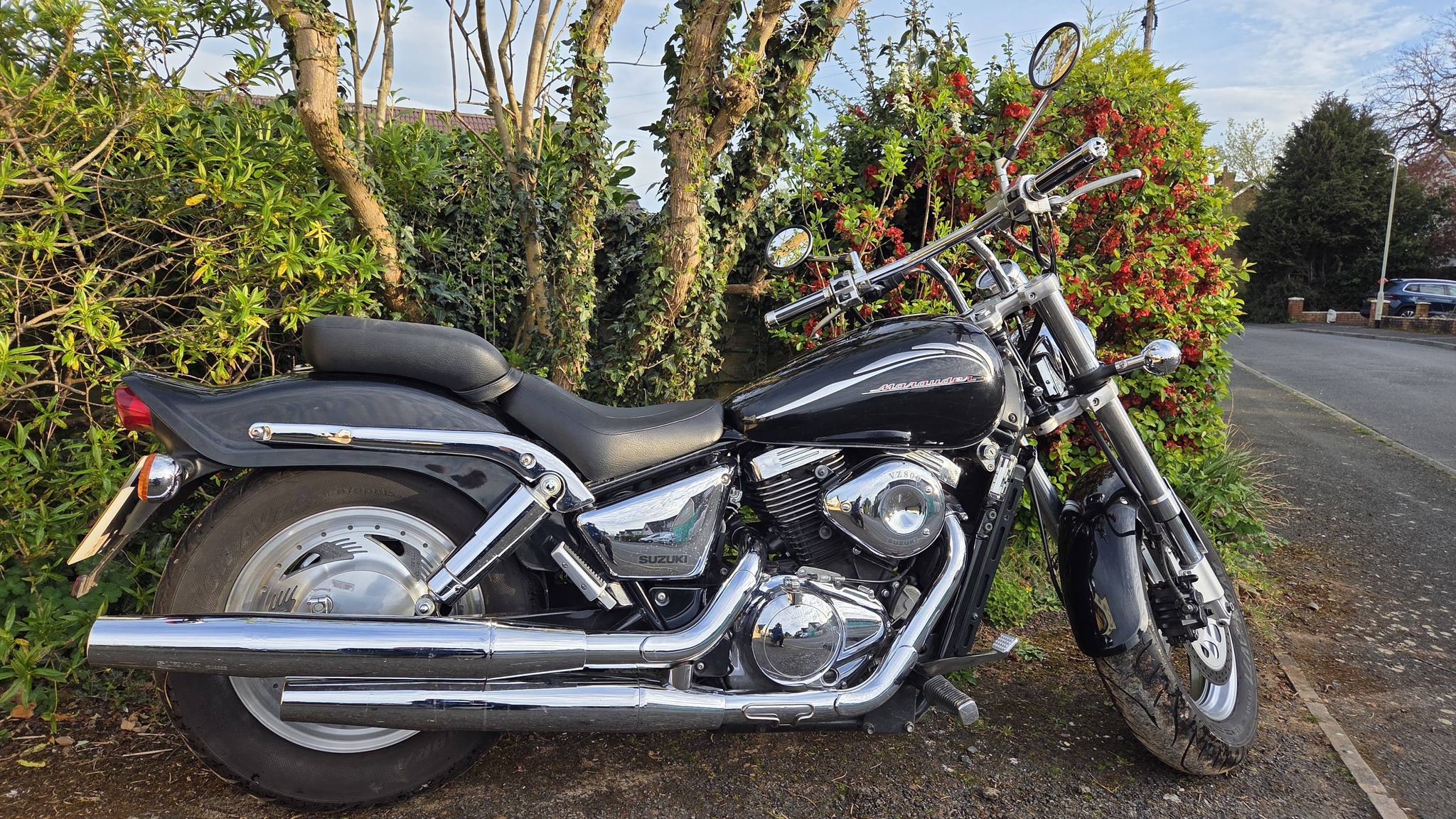 I am selling my extensive collection (1000+ items) of Suzuki